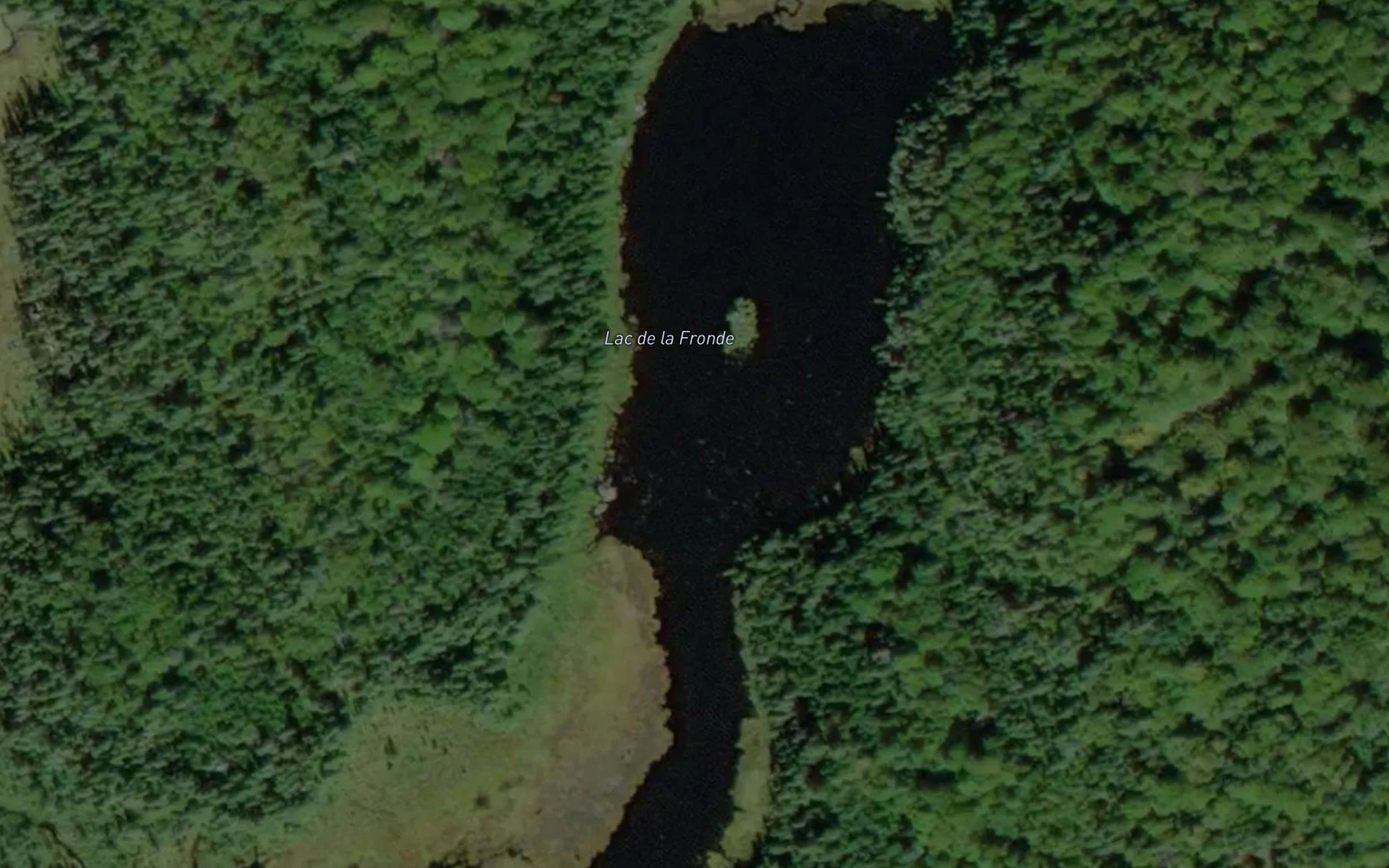 Satellite map of the Lac de la Fronde