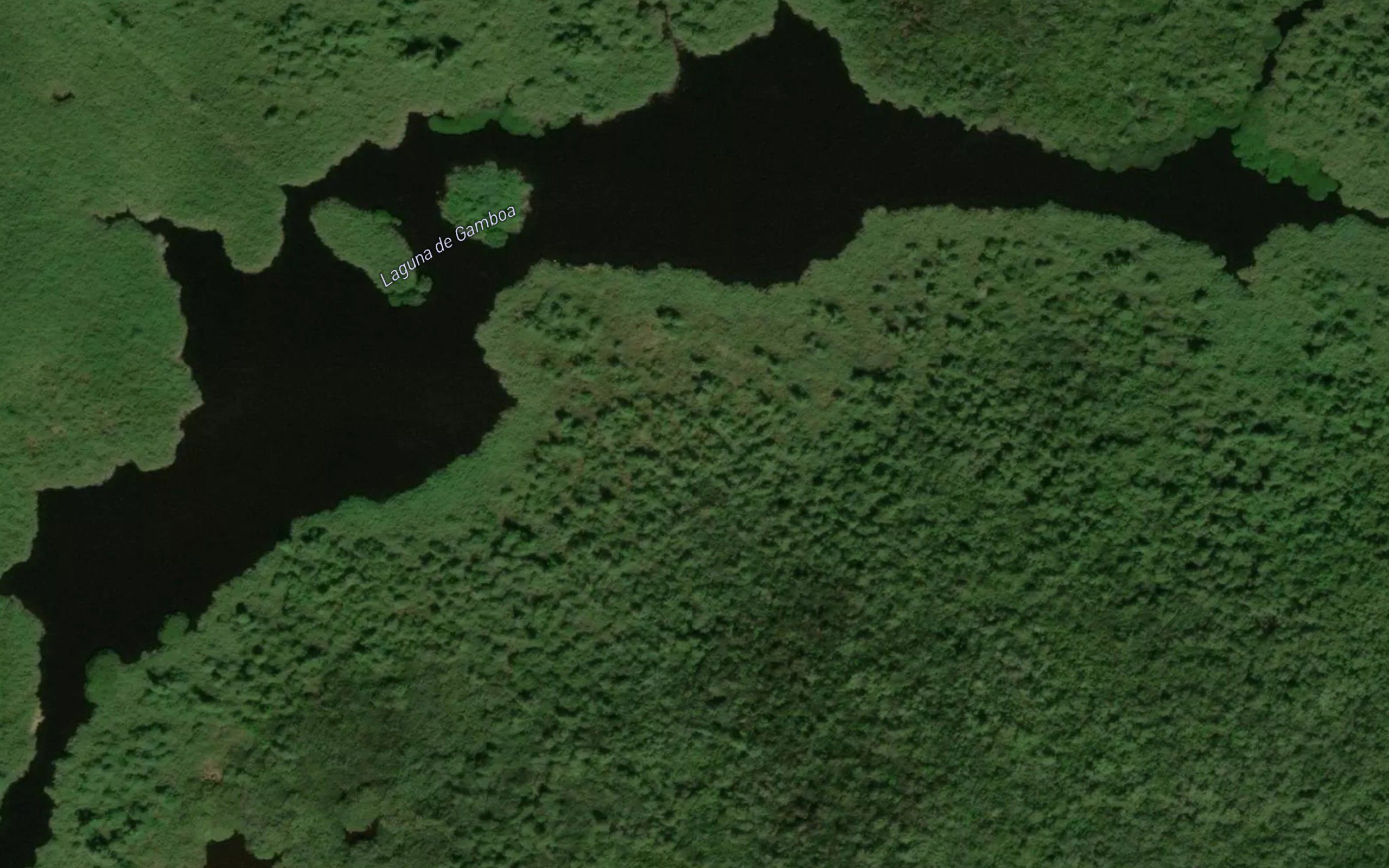 Laguna de Gamboa