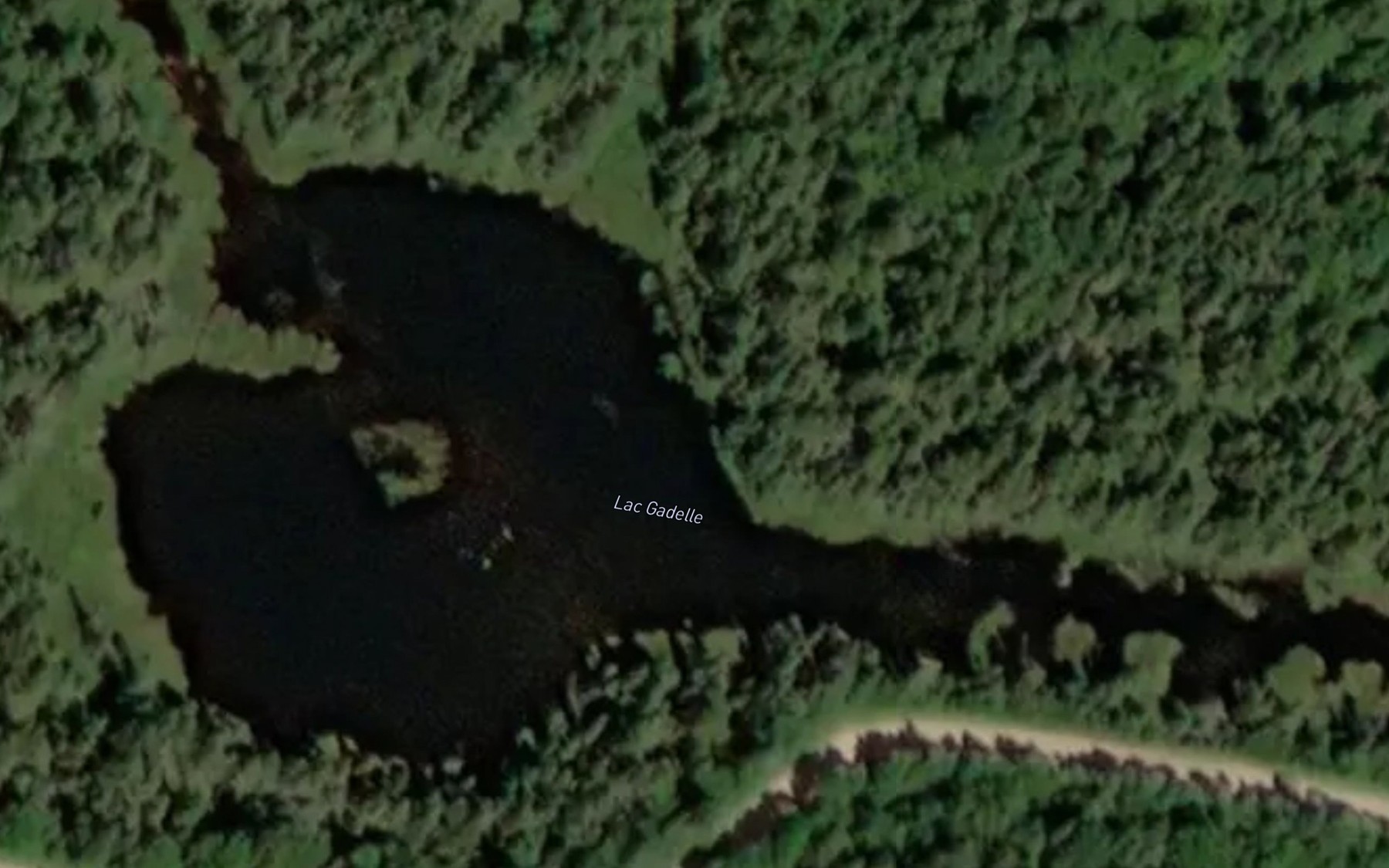 Satellite map of the Lac Gadelle