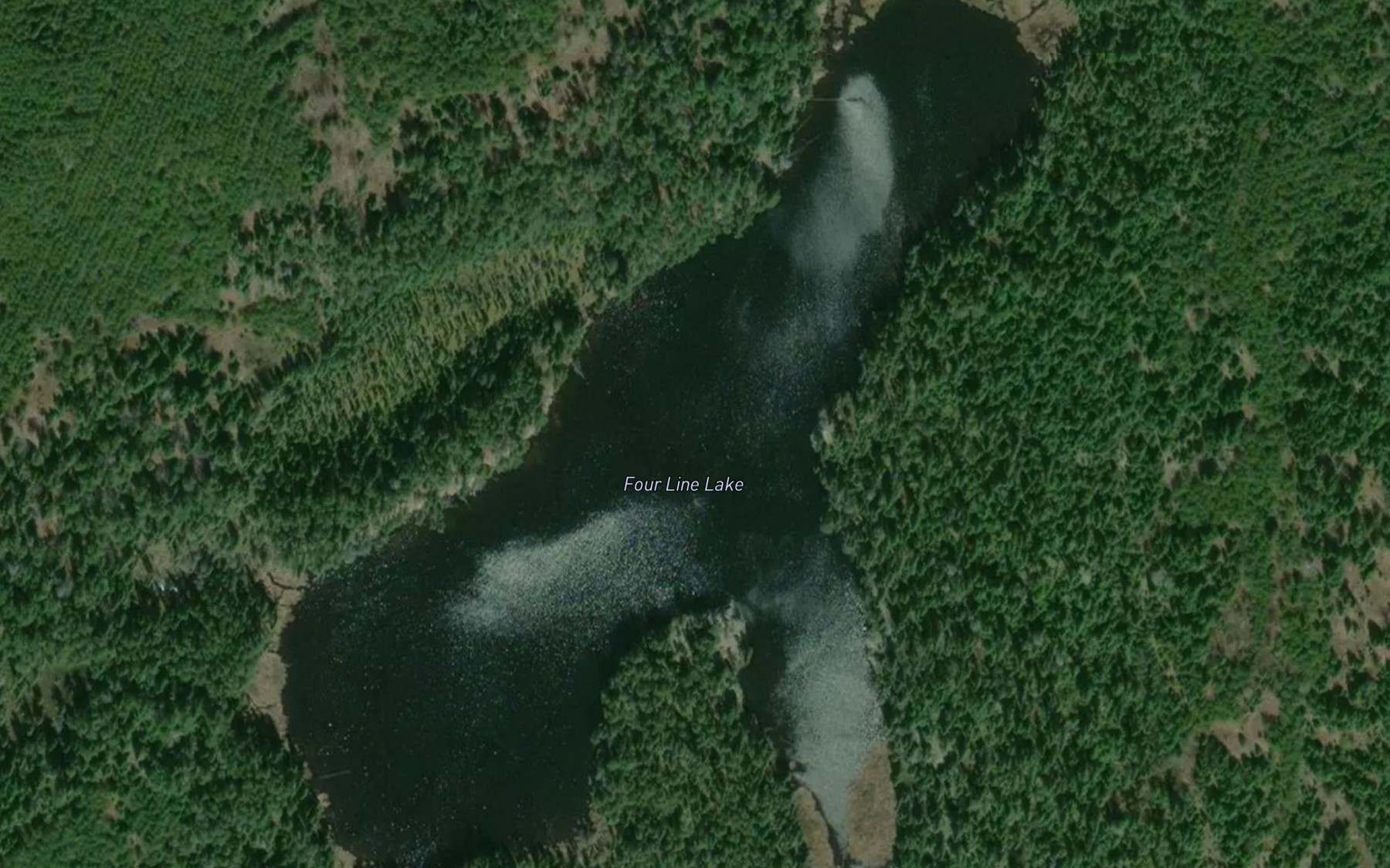 Satellite map of the Four Line Lake