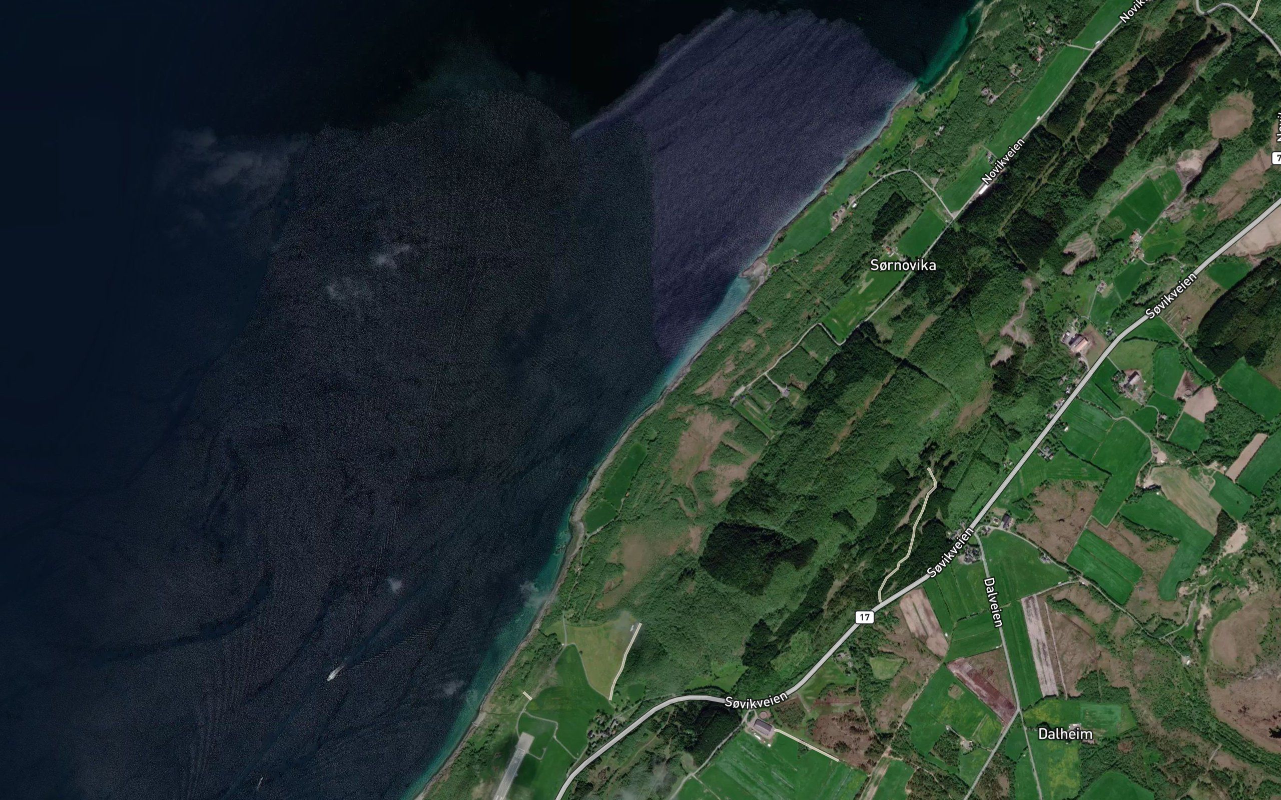 Lislstokkvika