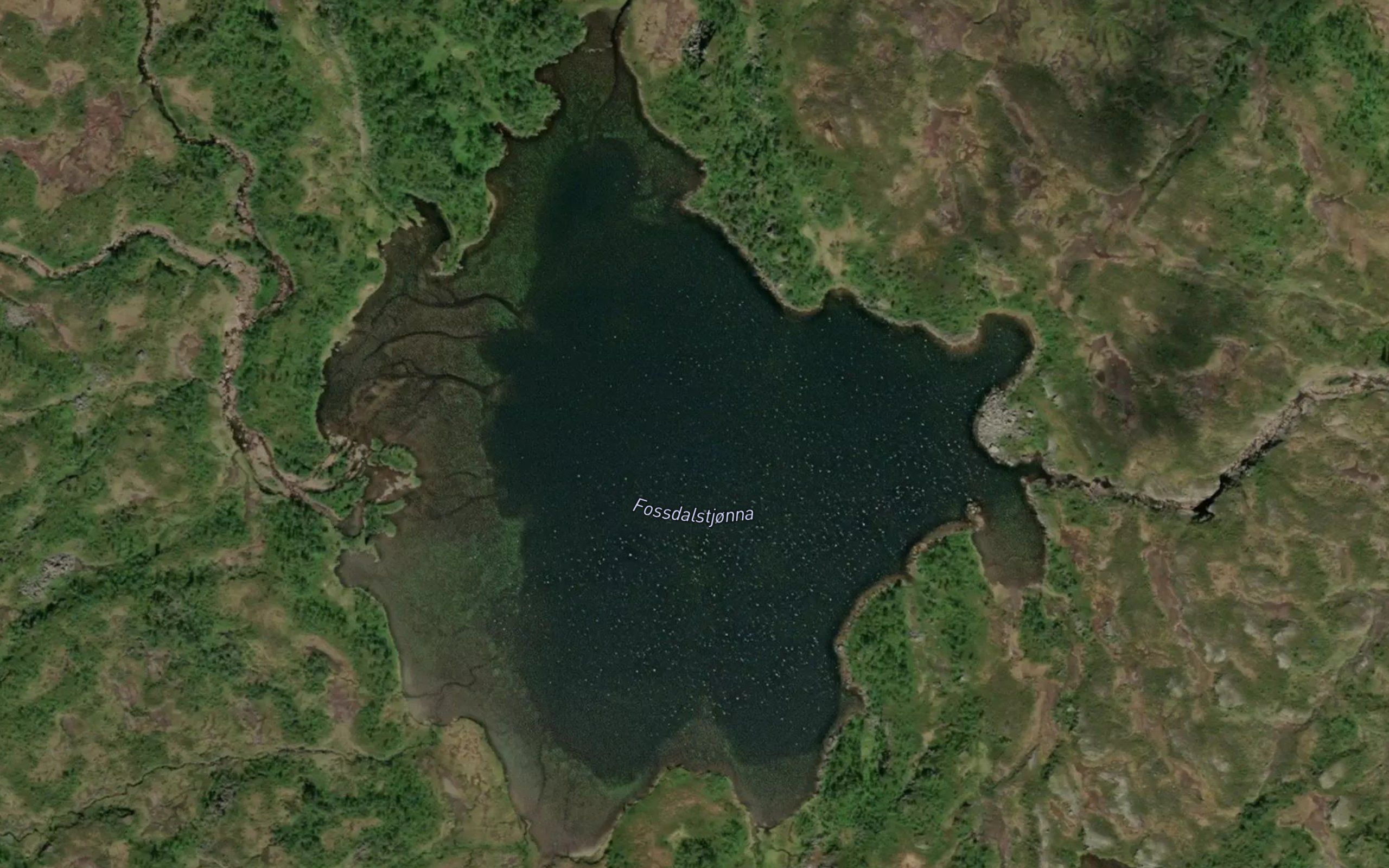 Fossdalstjorna