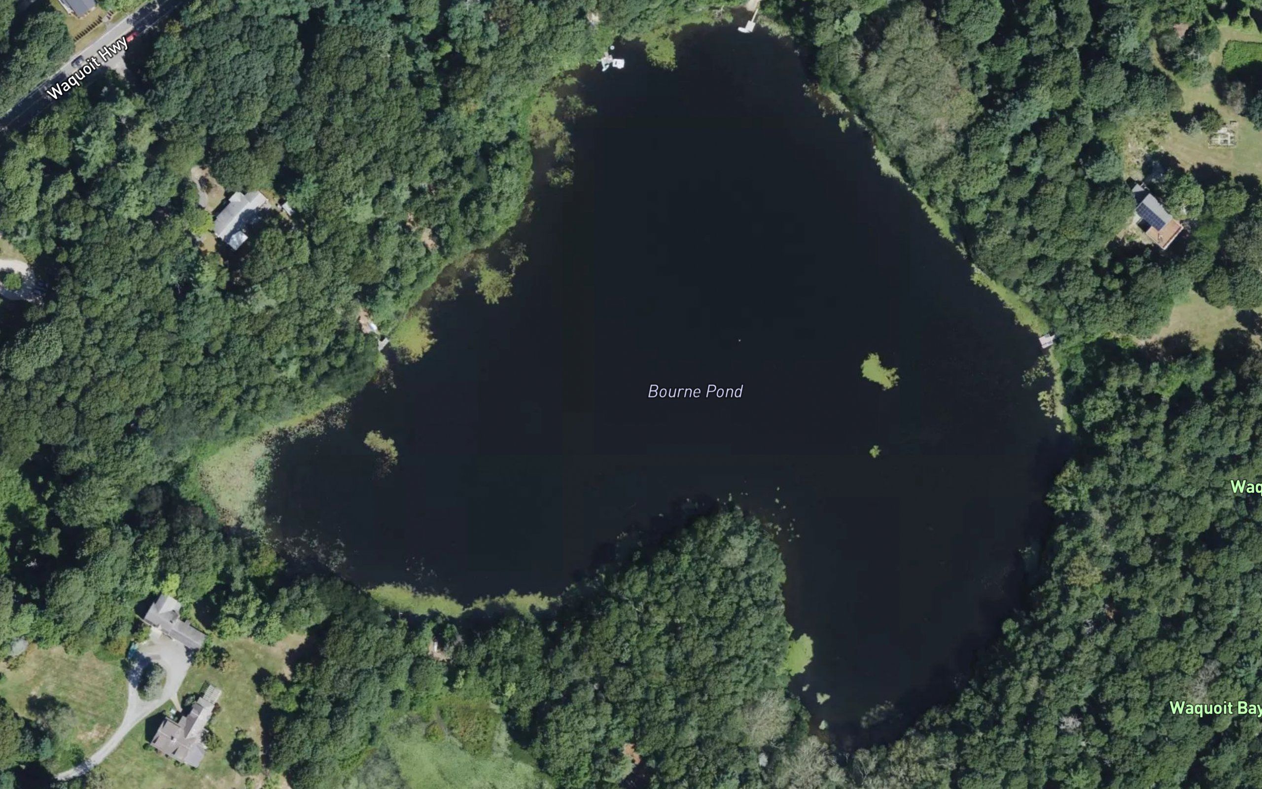 Bourne Pond
