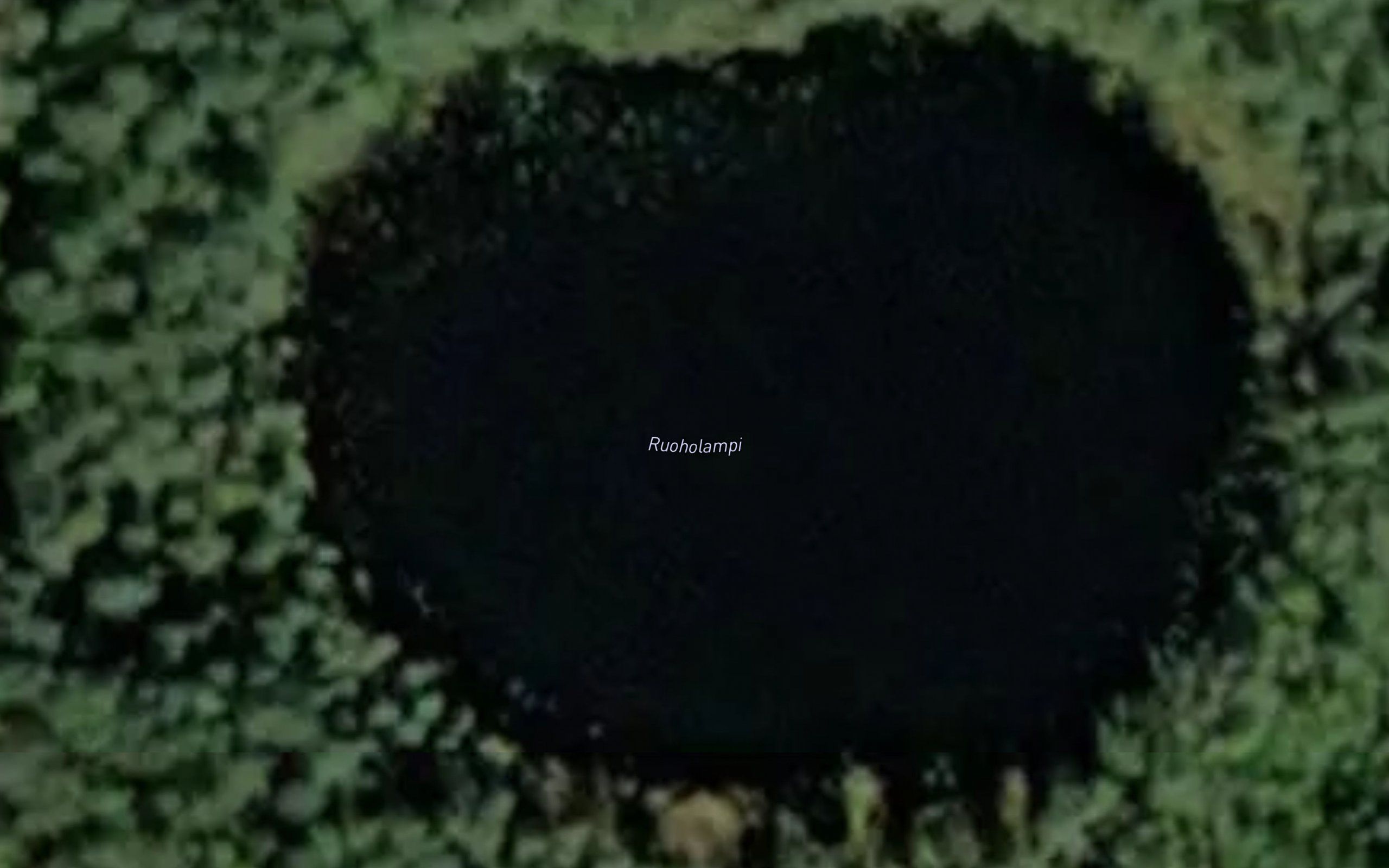 Ruoholampi