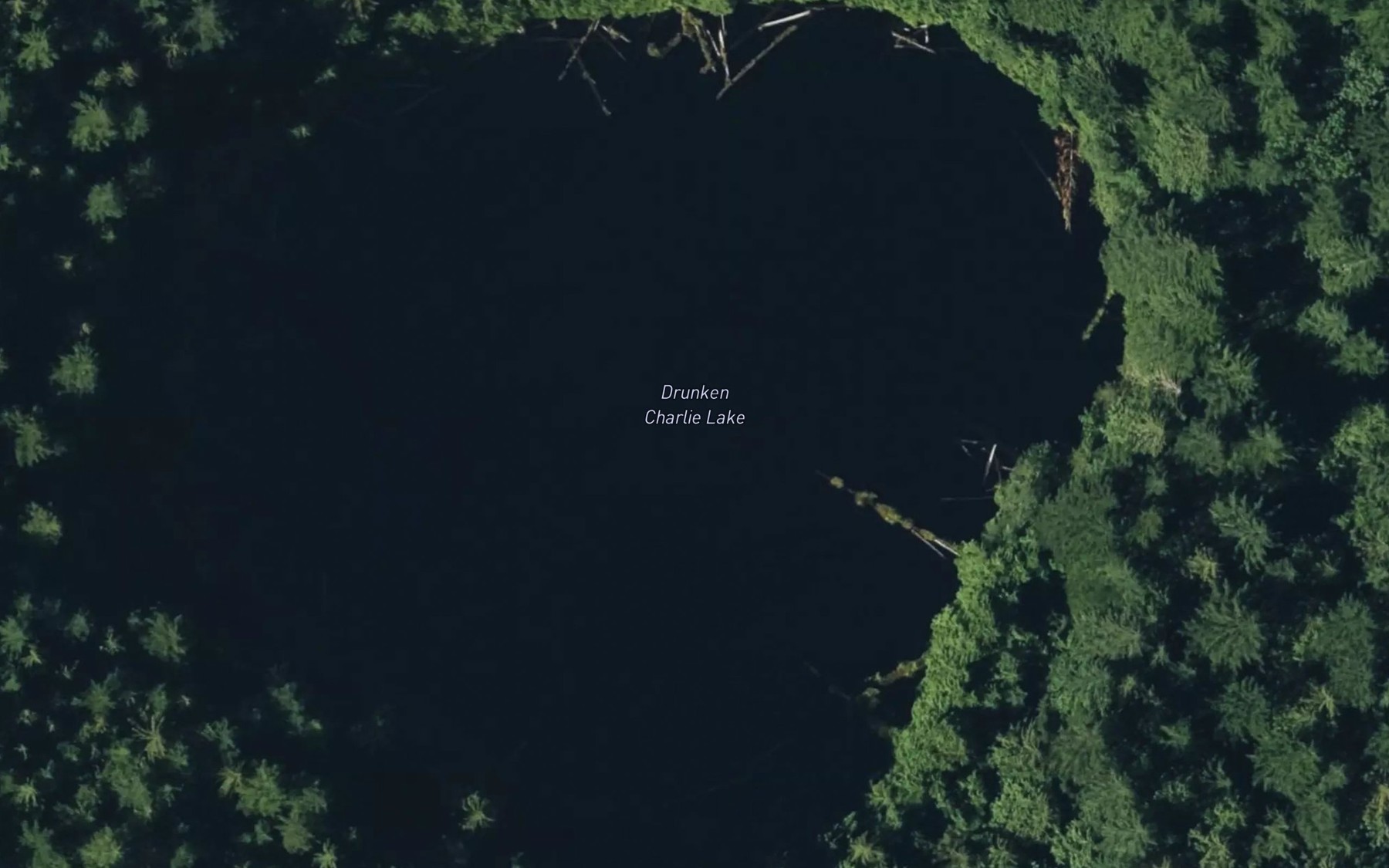 Satellite map of the Drunken Charlie Lake