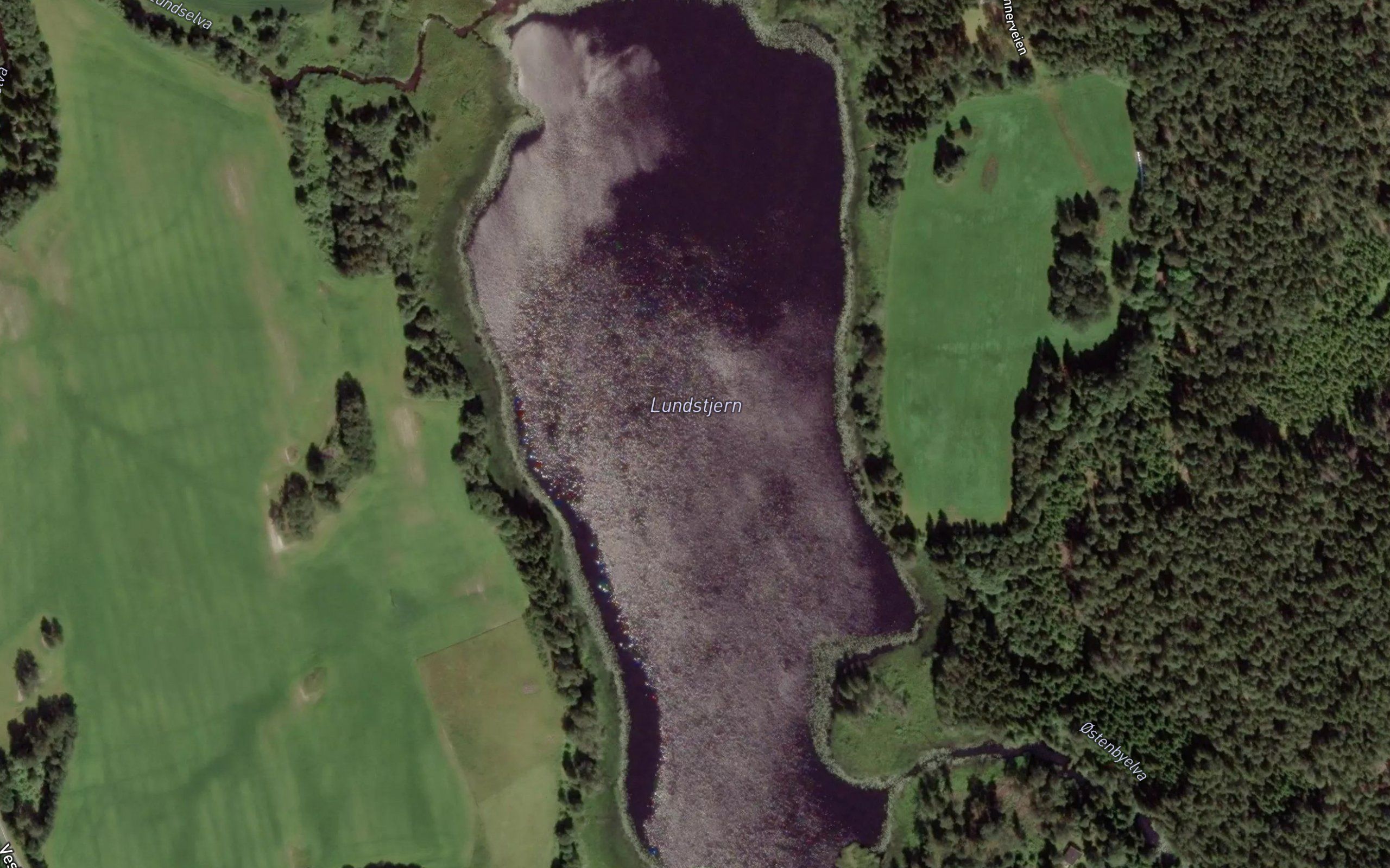 Lundstjernet