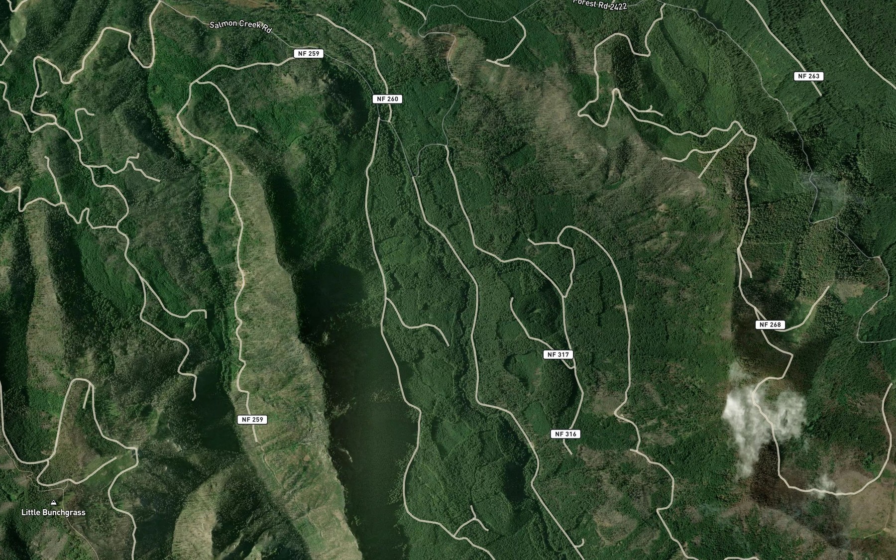 Satellite map of the Alice Creek