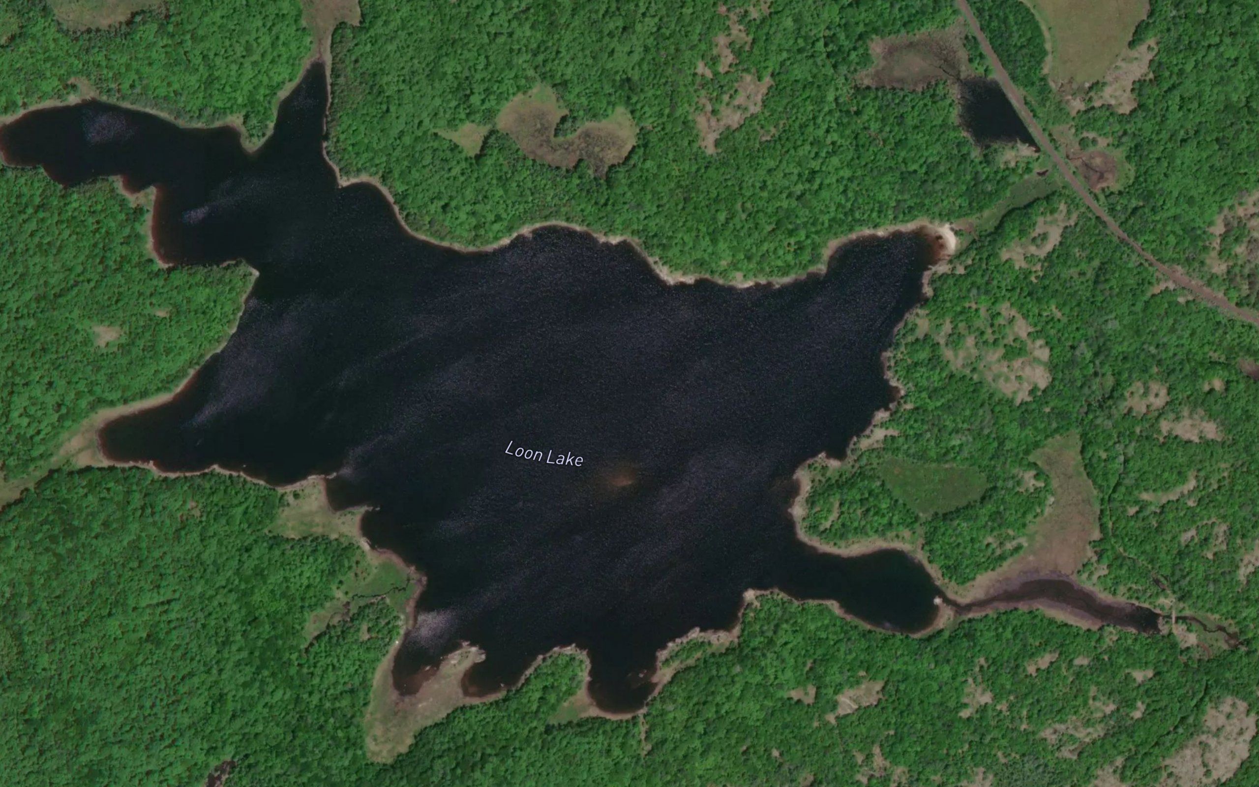 Loon Lake