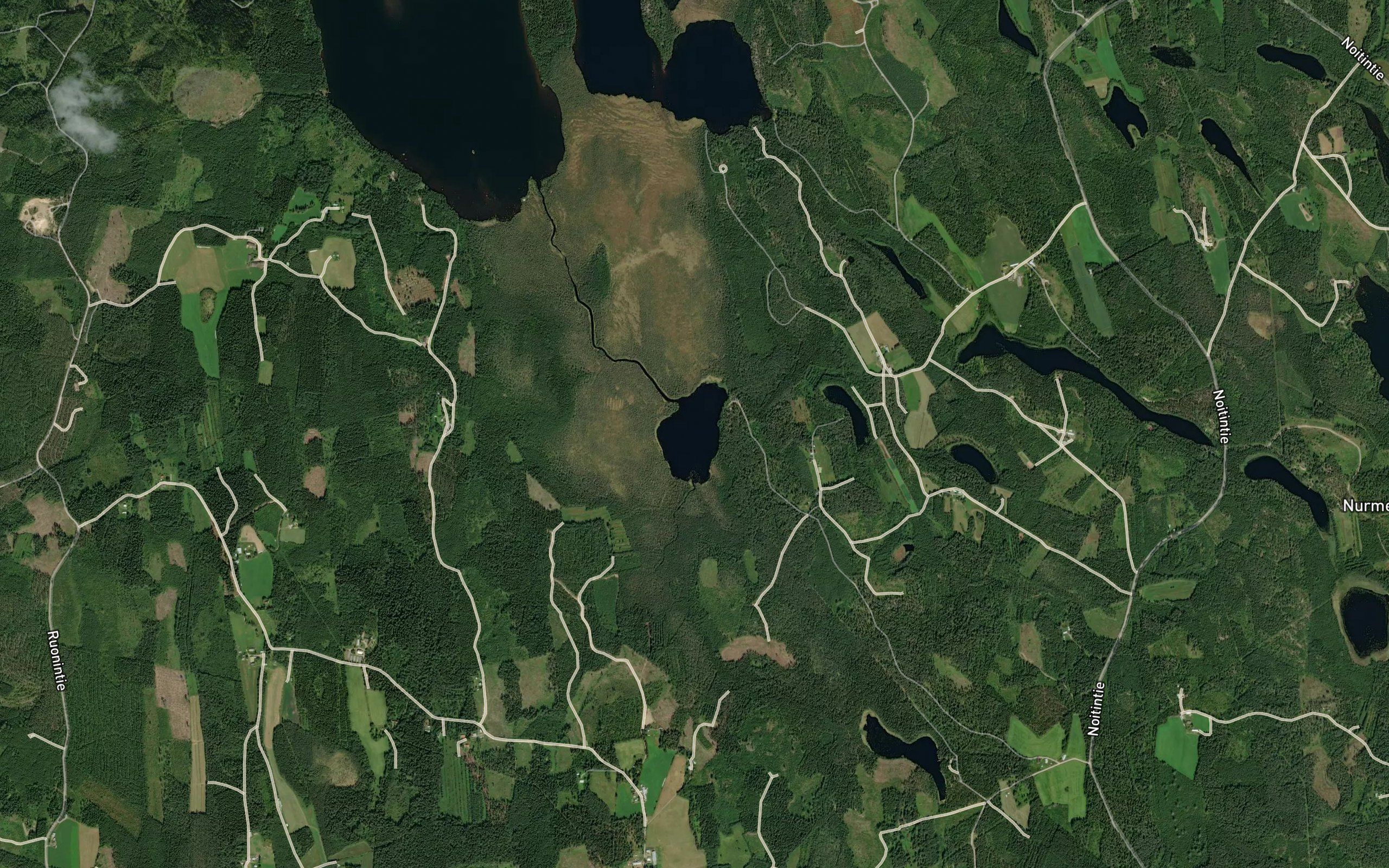 Heinalampi