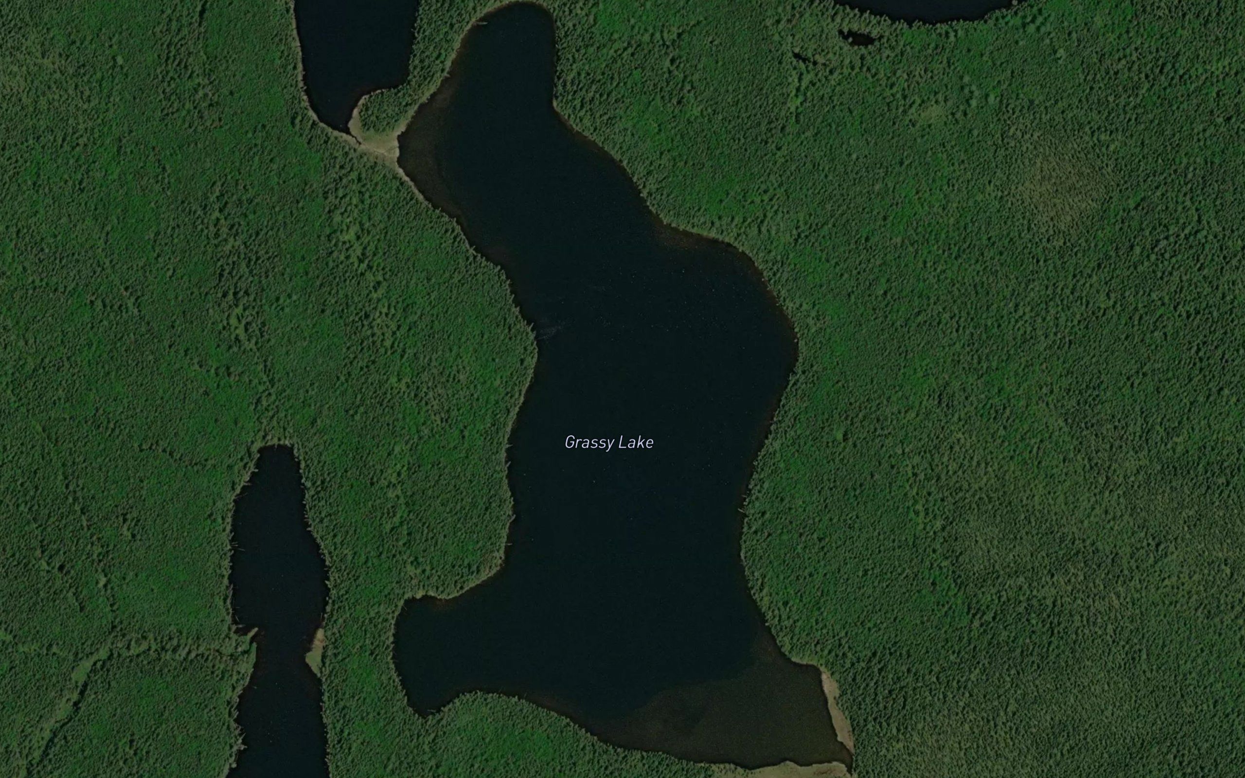 Grassy Lake