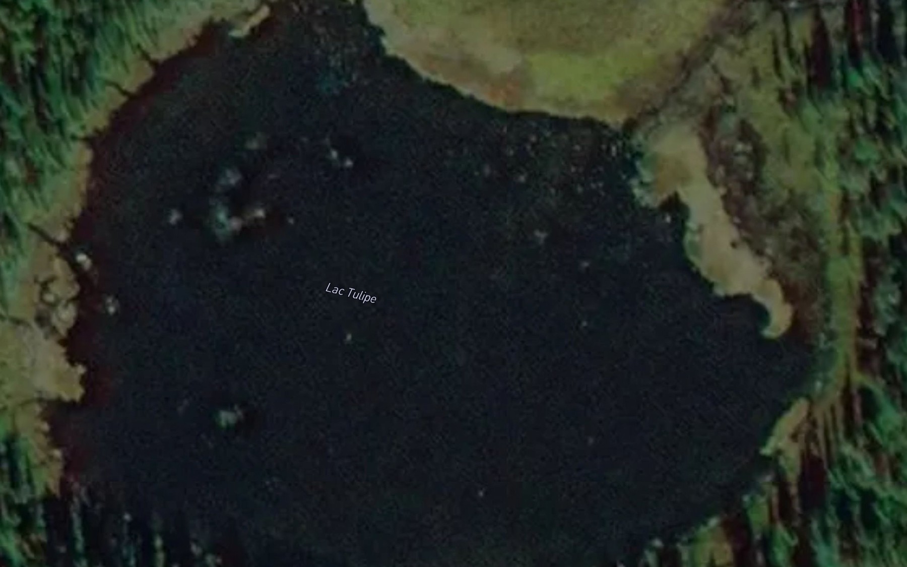 Satellite map of the Lac Tulipe