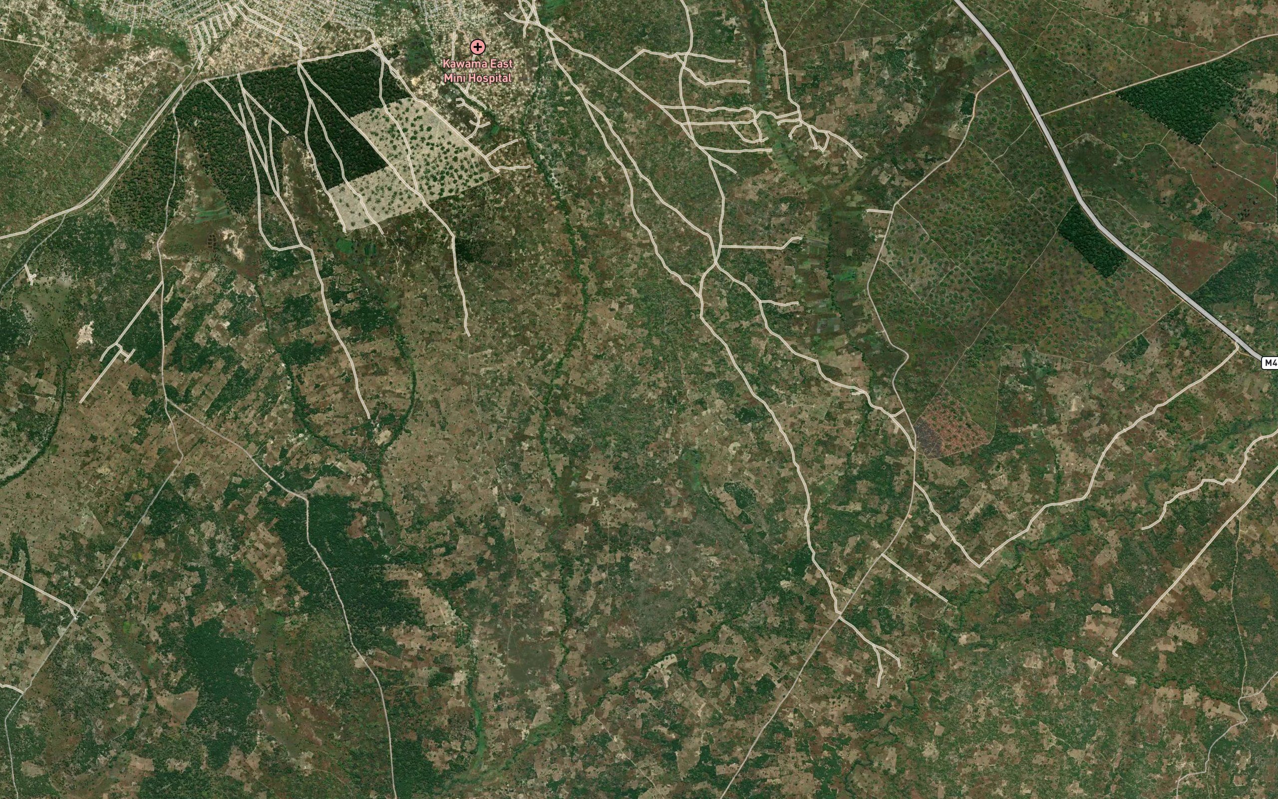 Kaungi