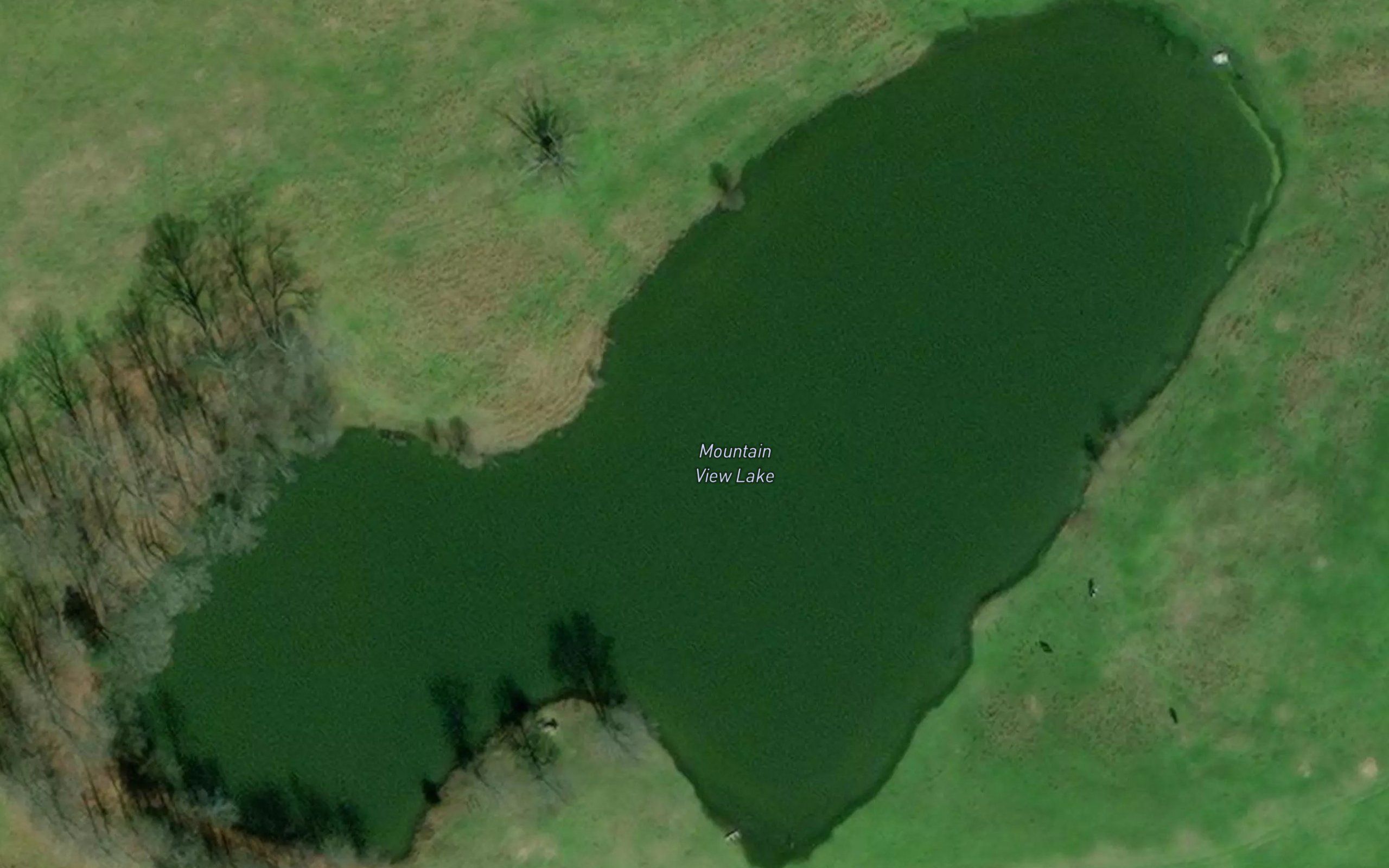 Mountain View Lake
