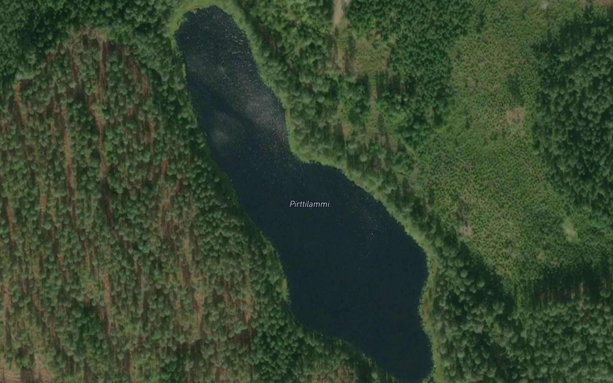 Pirttilammi