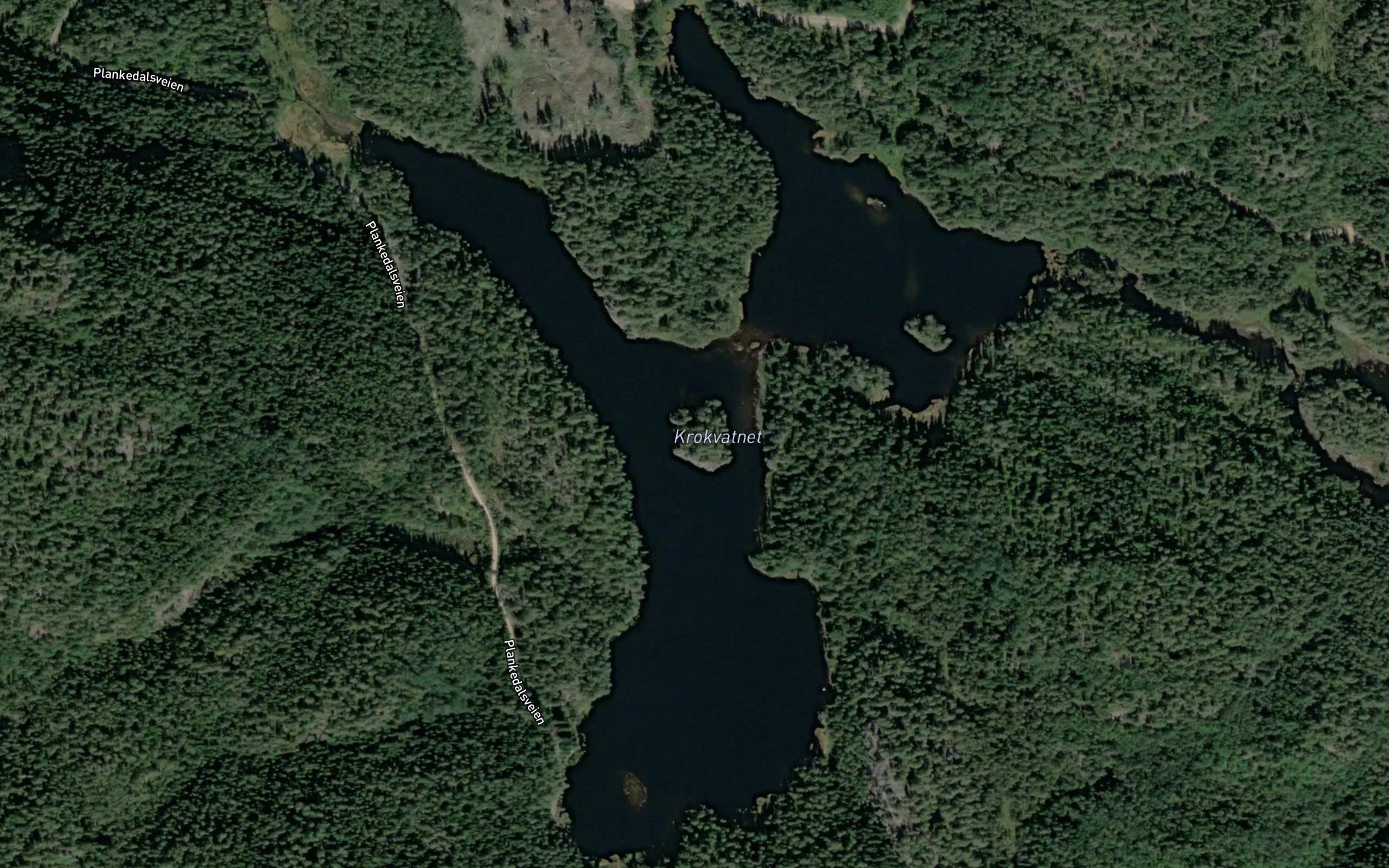 Krokvann
