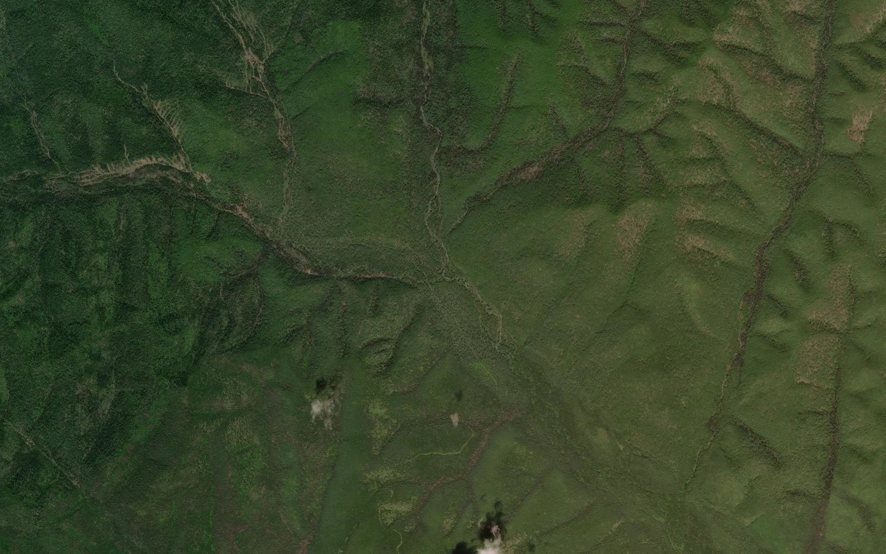 Satellite map of the Medvezhiy