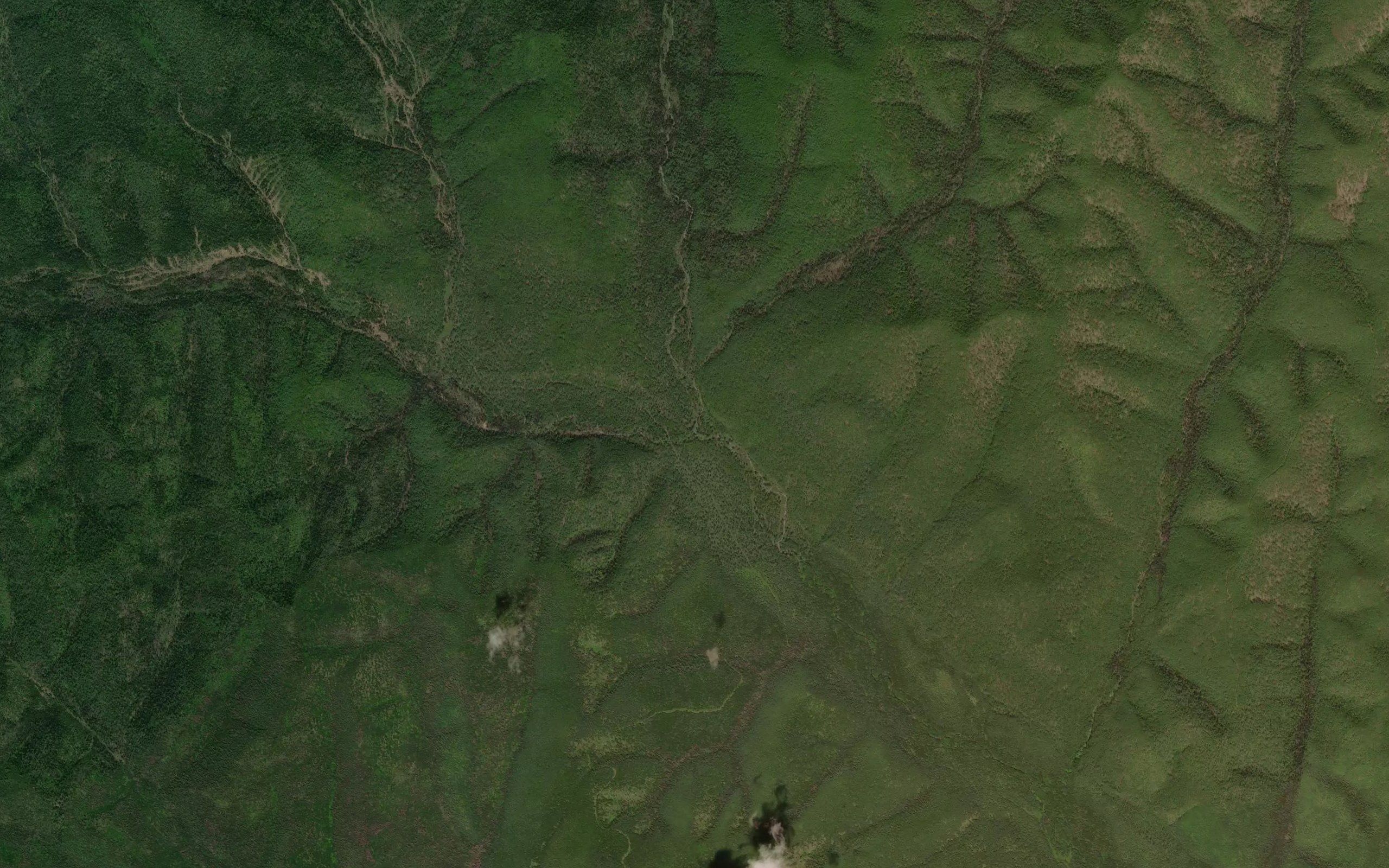 Medvezhiy
