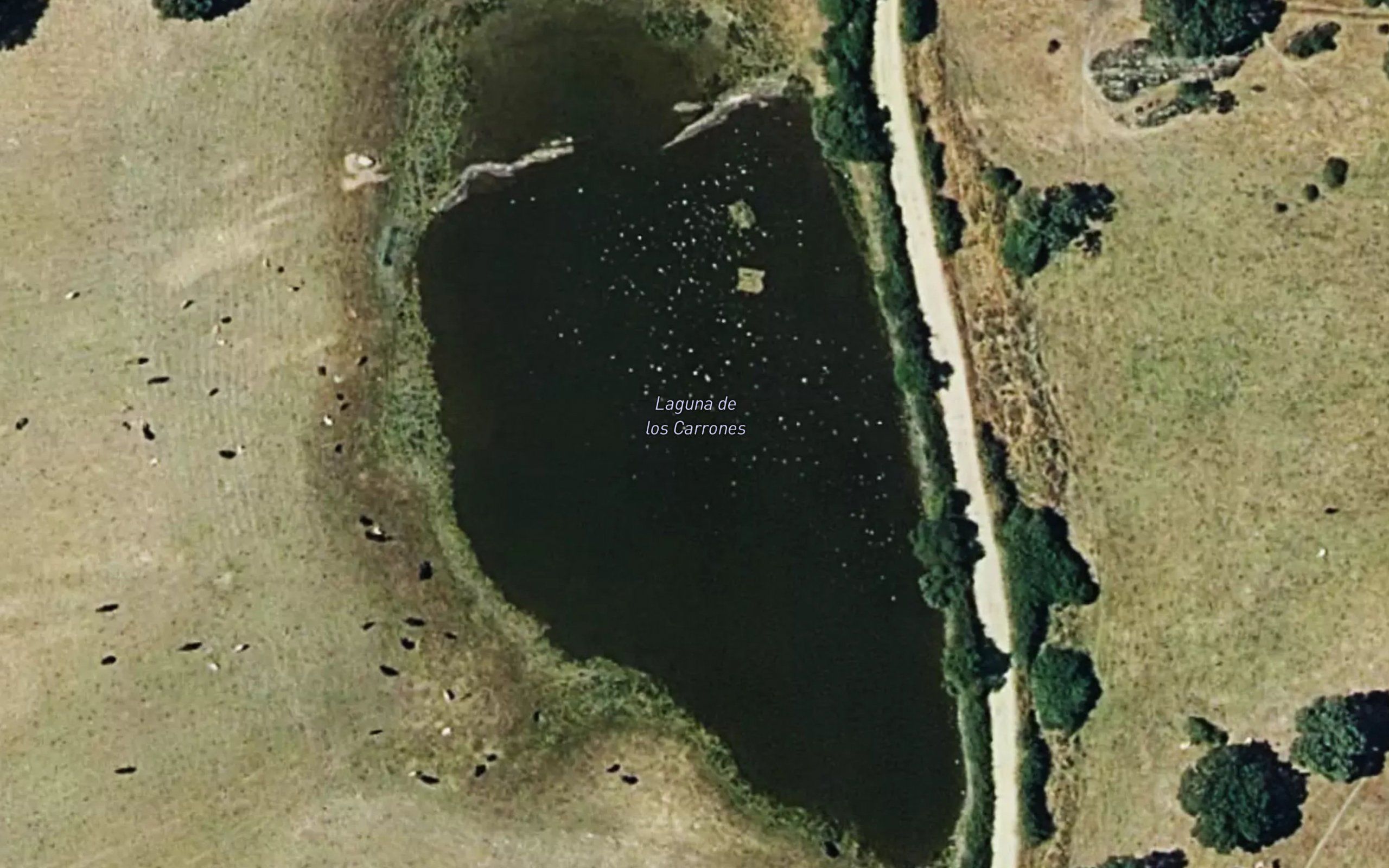 Laguna de Carrones