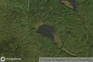 Mountain Pond