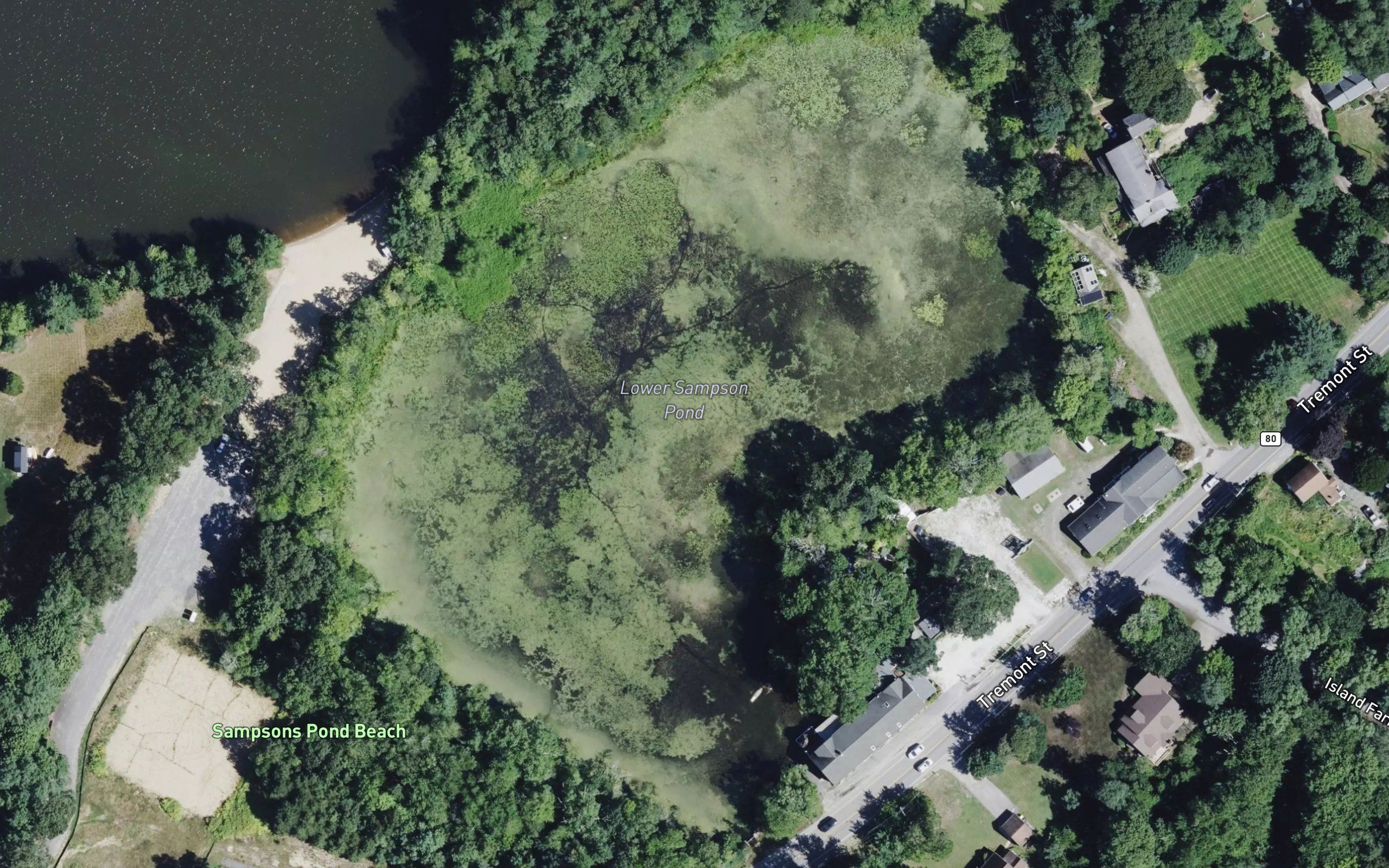Lower Sampson Pond