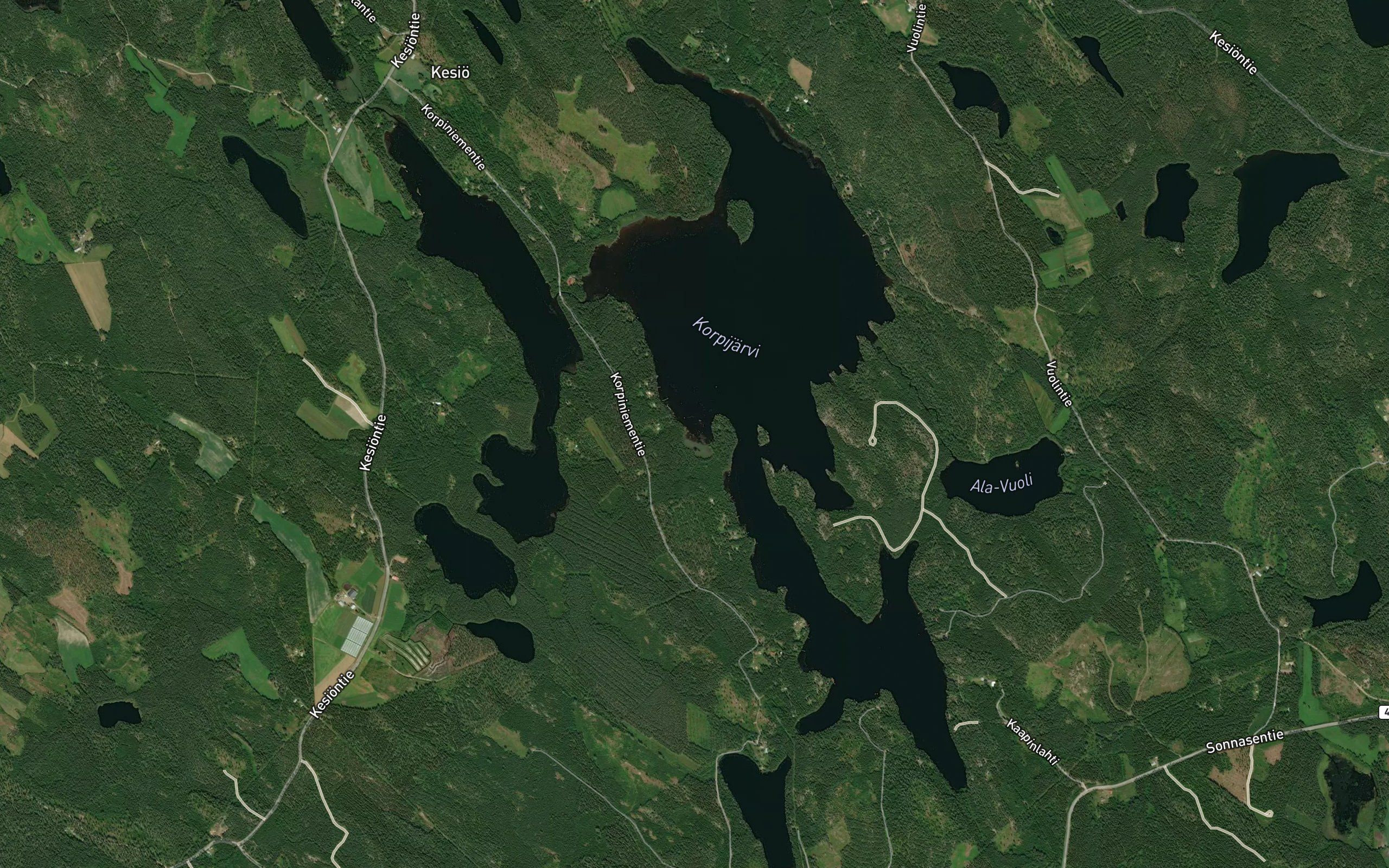 Haapalahti