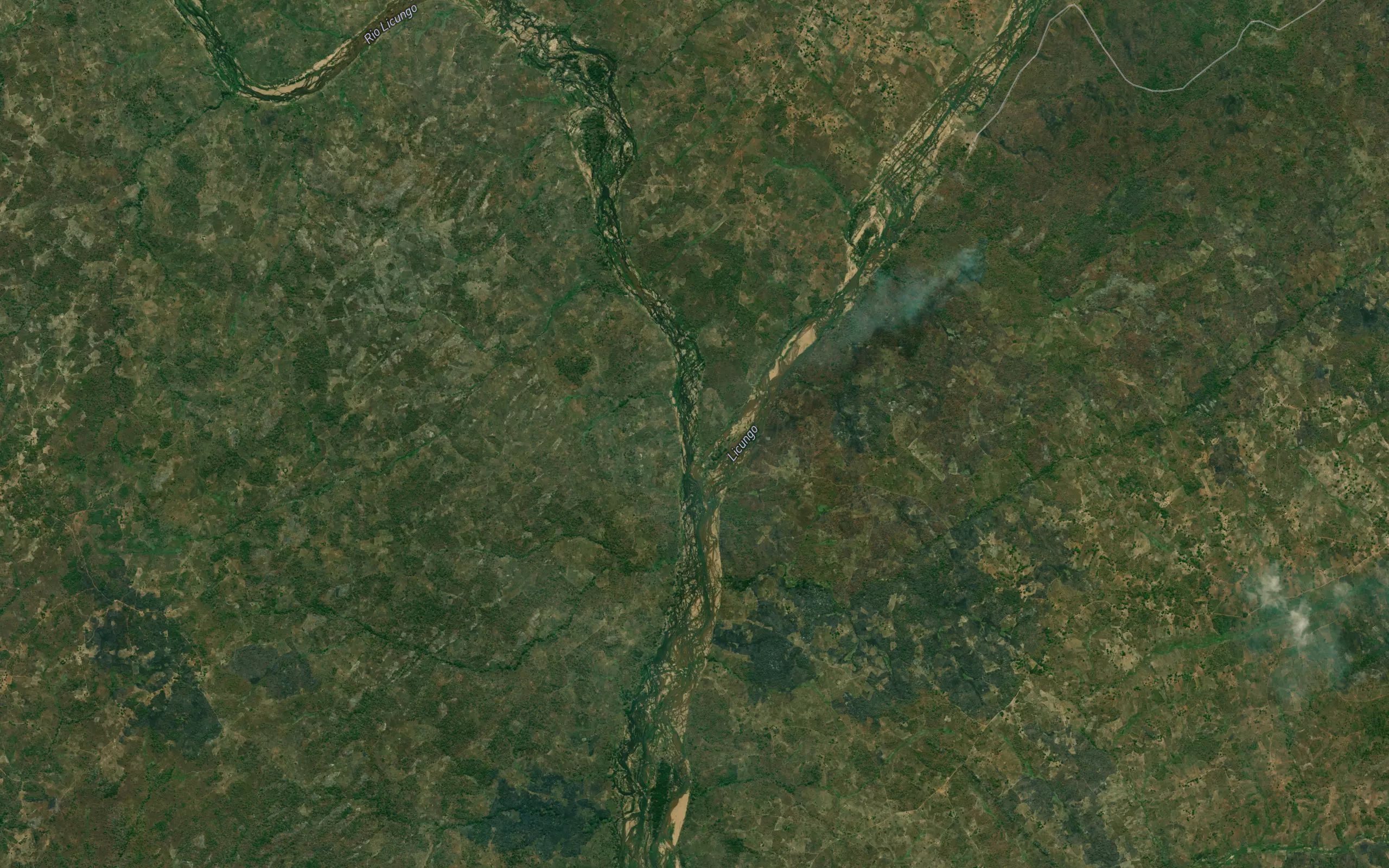 Rio Luo