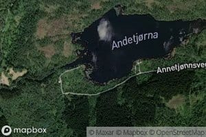 Andetjorna