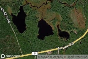 Pickerel Lake