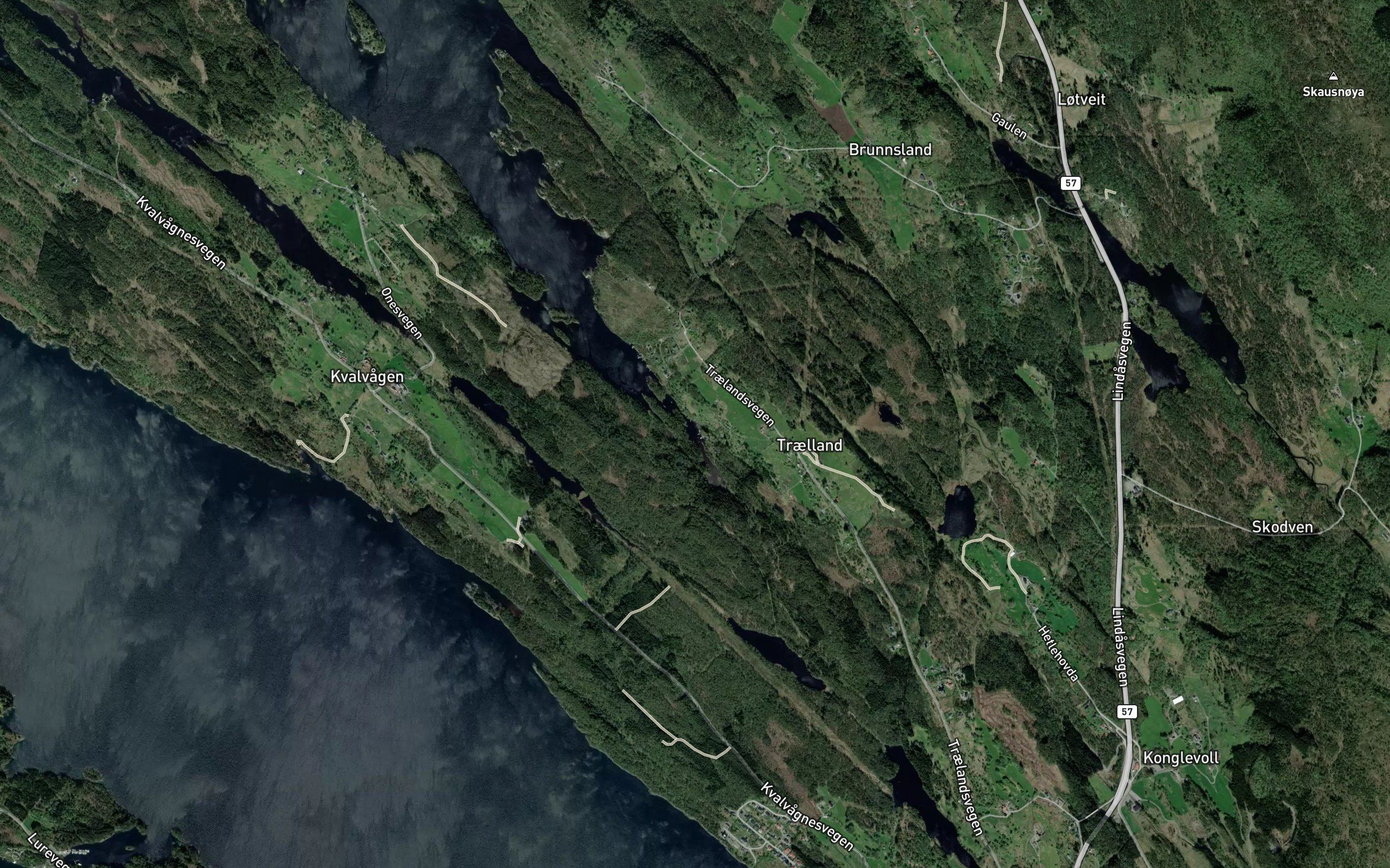 Pamphavet