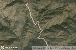 Silver Dollar Spring