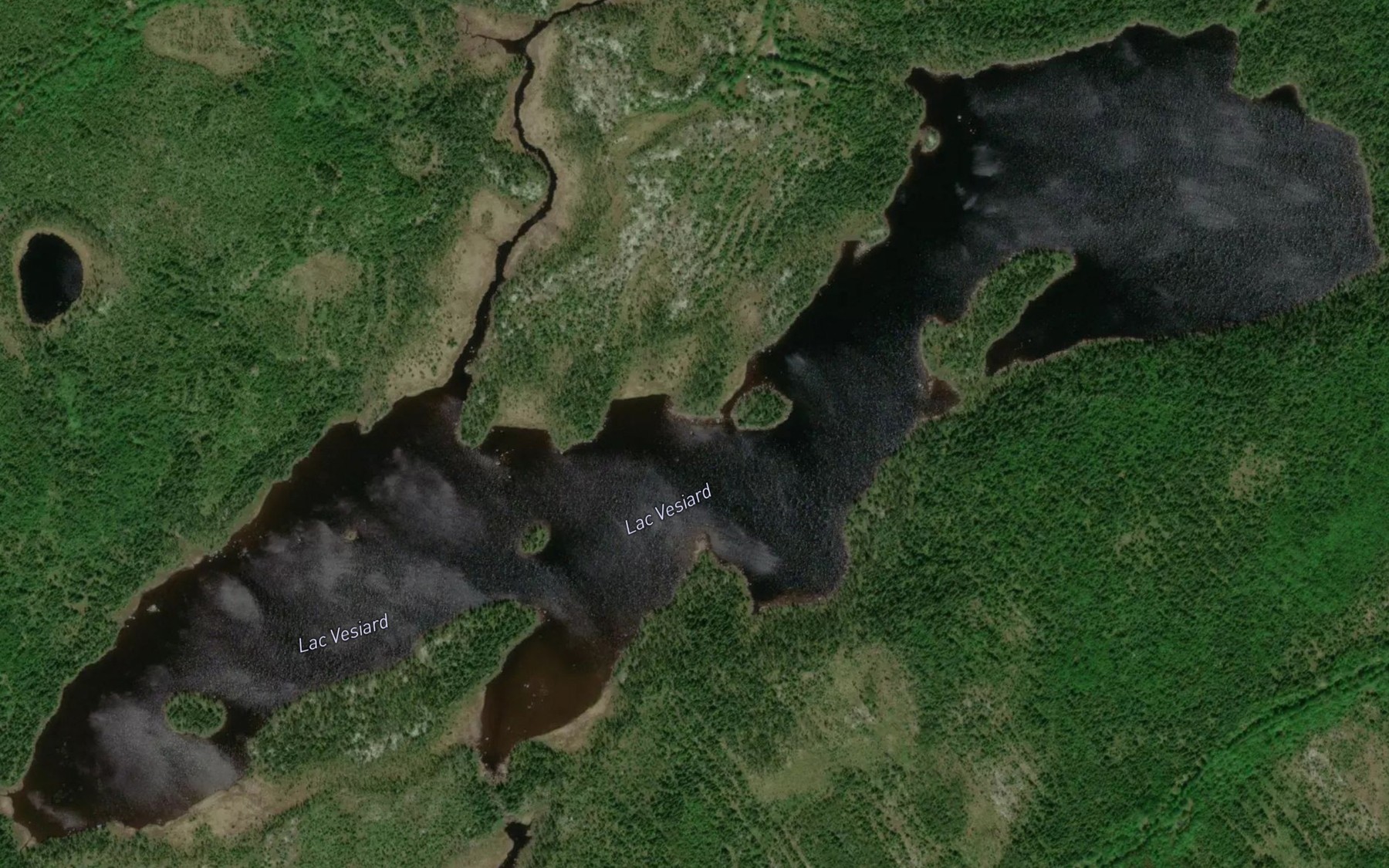 Satellite map of the Lac Vesiard