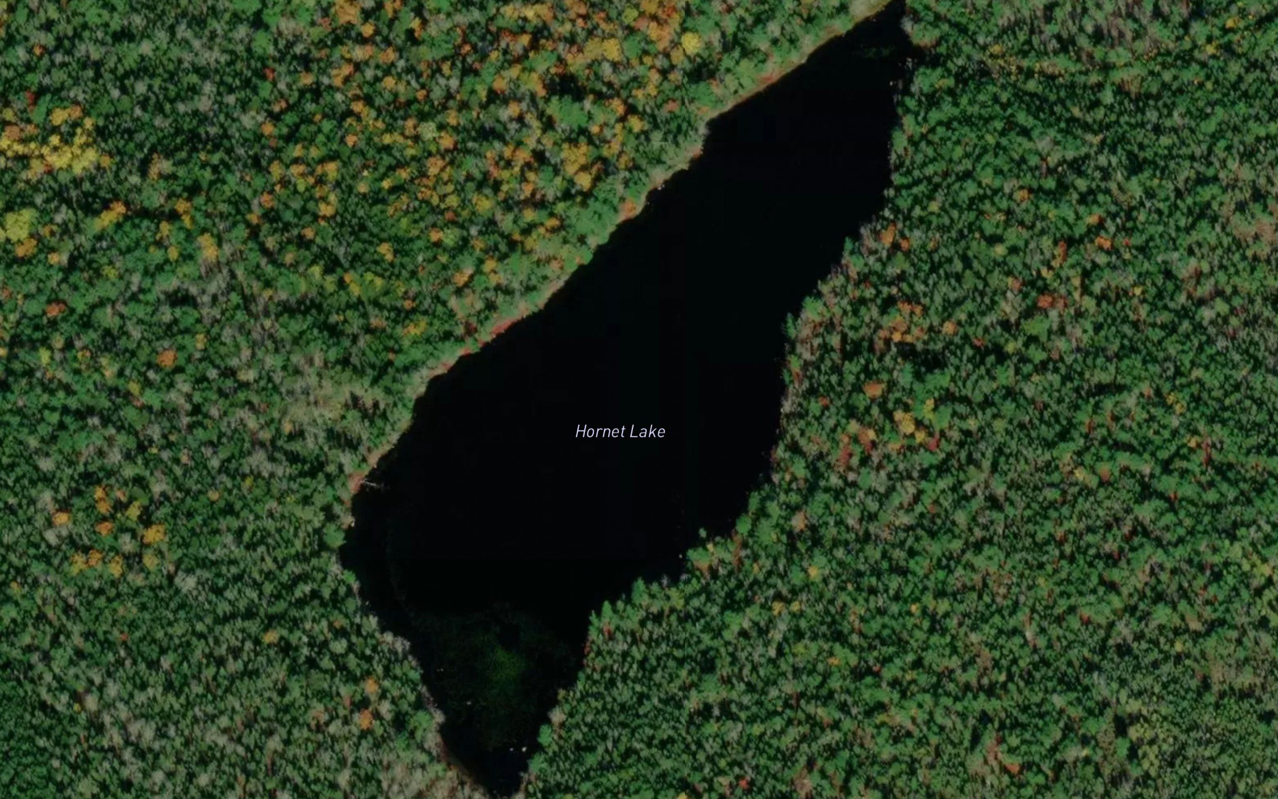Hornet Lake