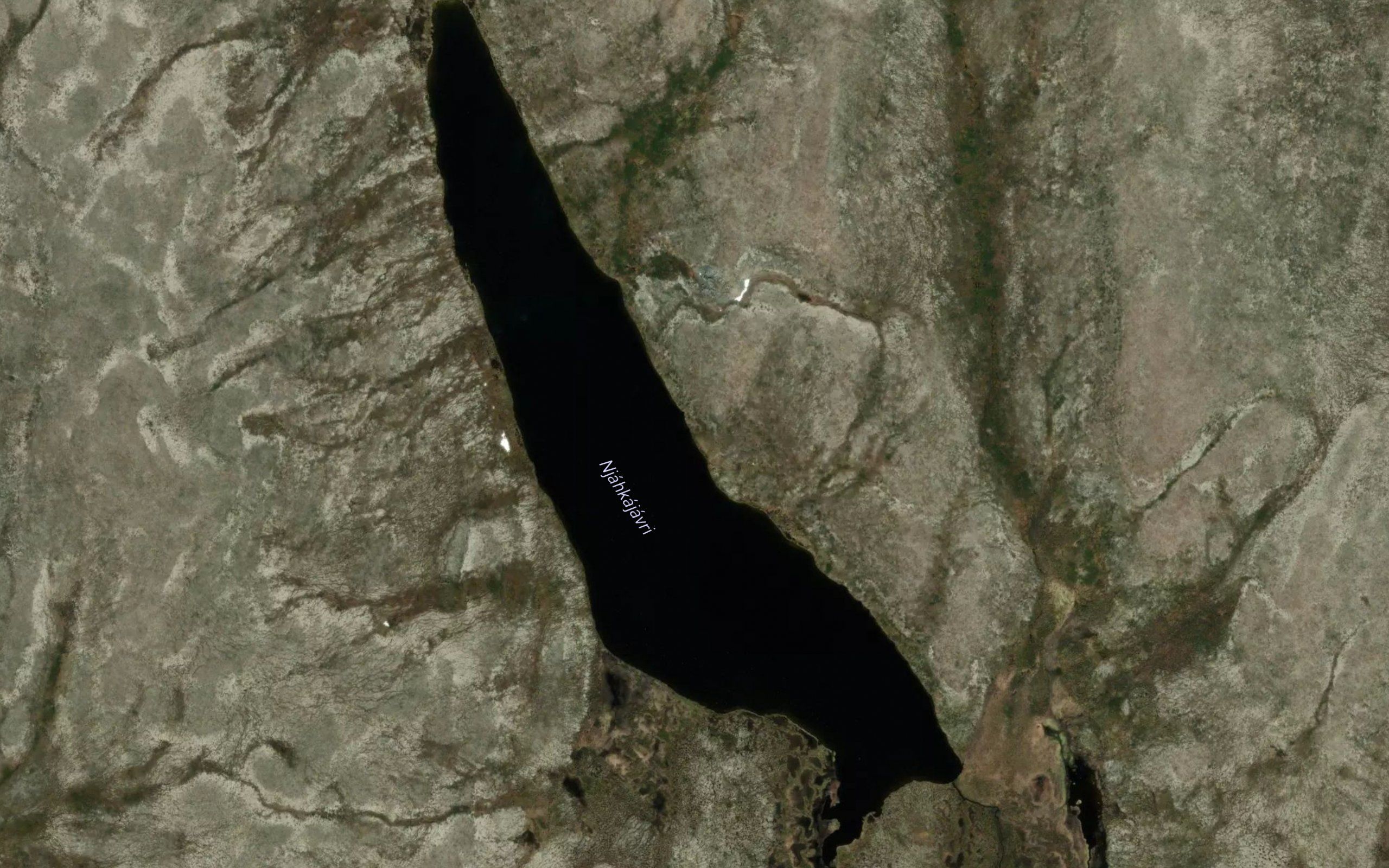 Njakkajavri