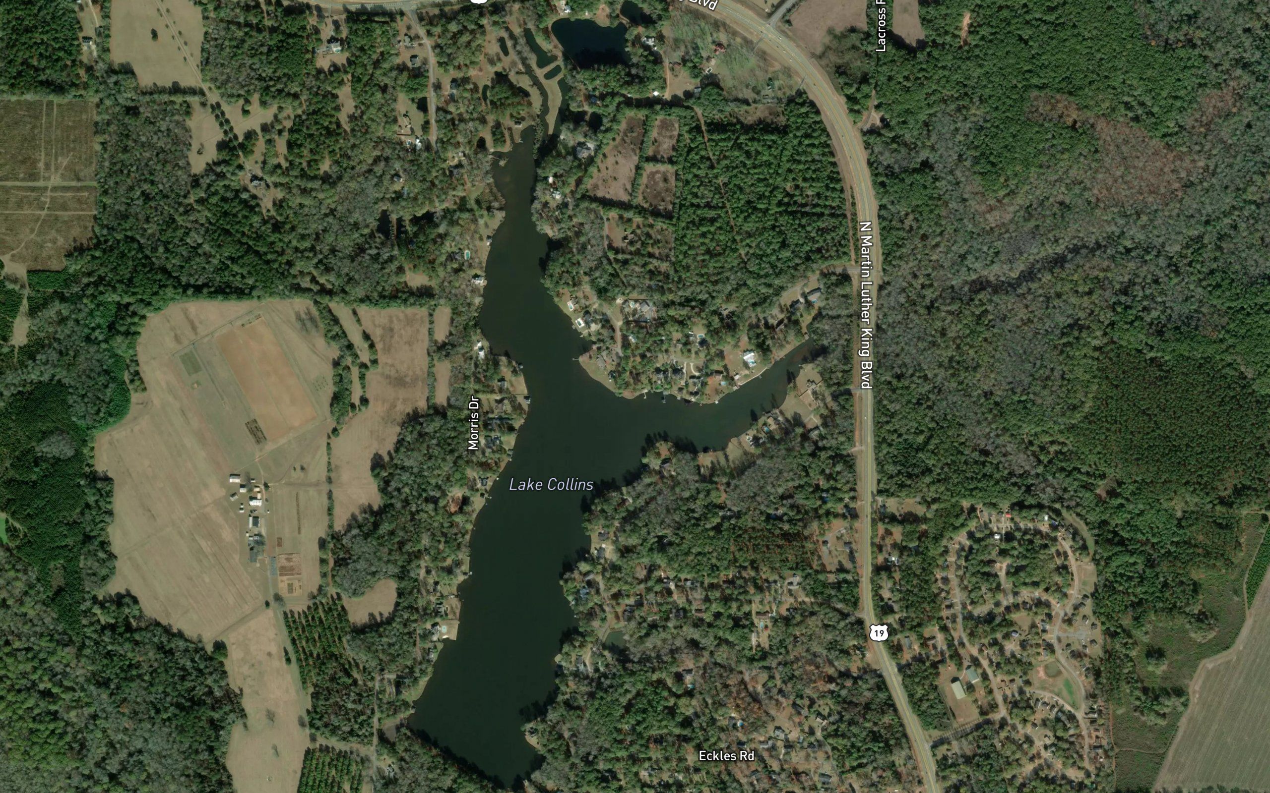 Lake Collins