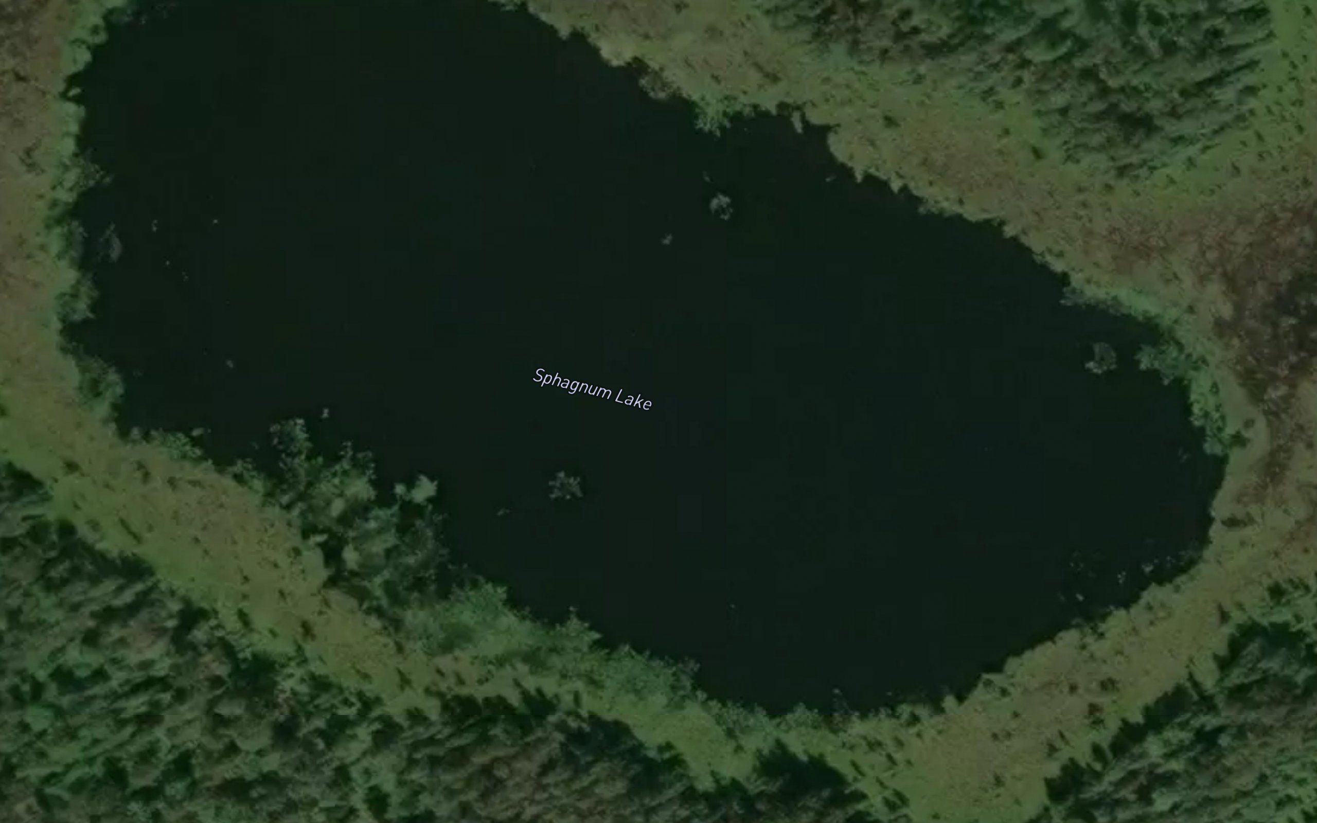 Sphagnum Lake