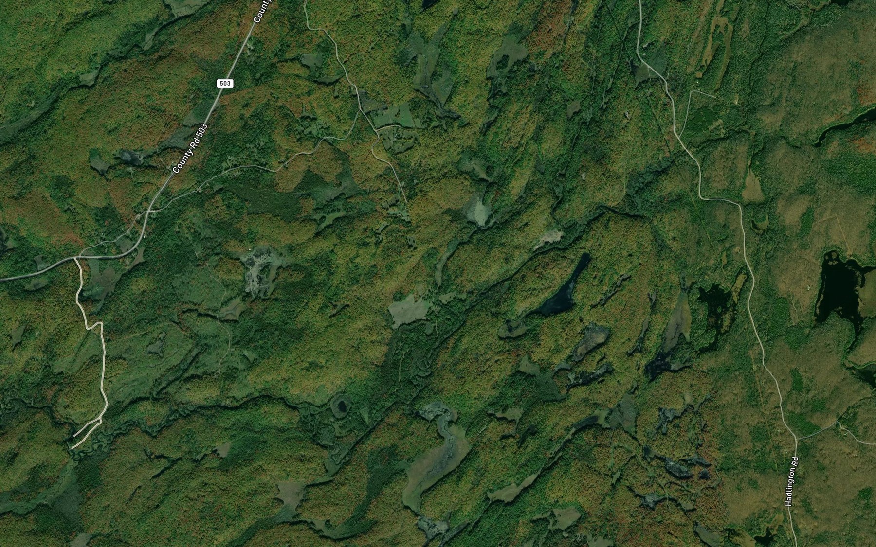 Satellite map of the Tory Creek