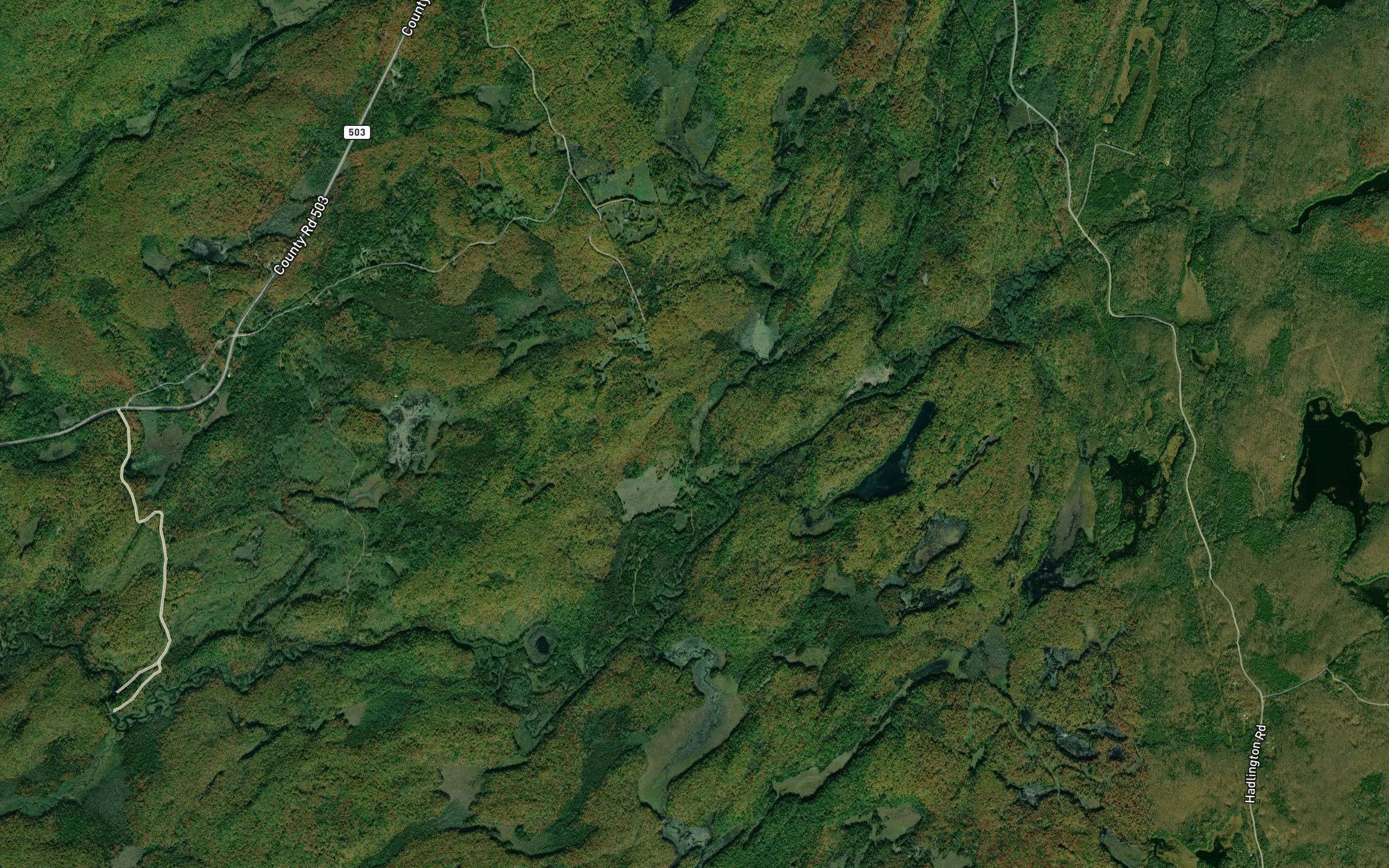 Tory Creek