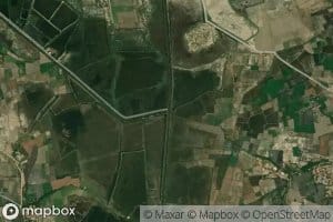 Two Right Batoro Branch