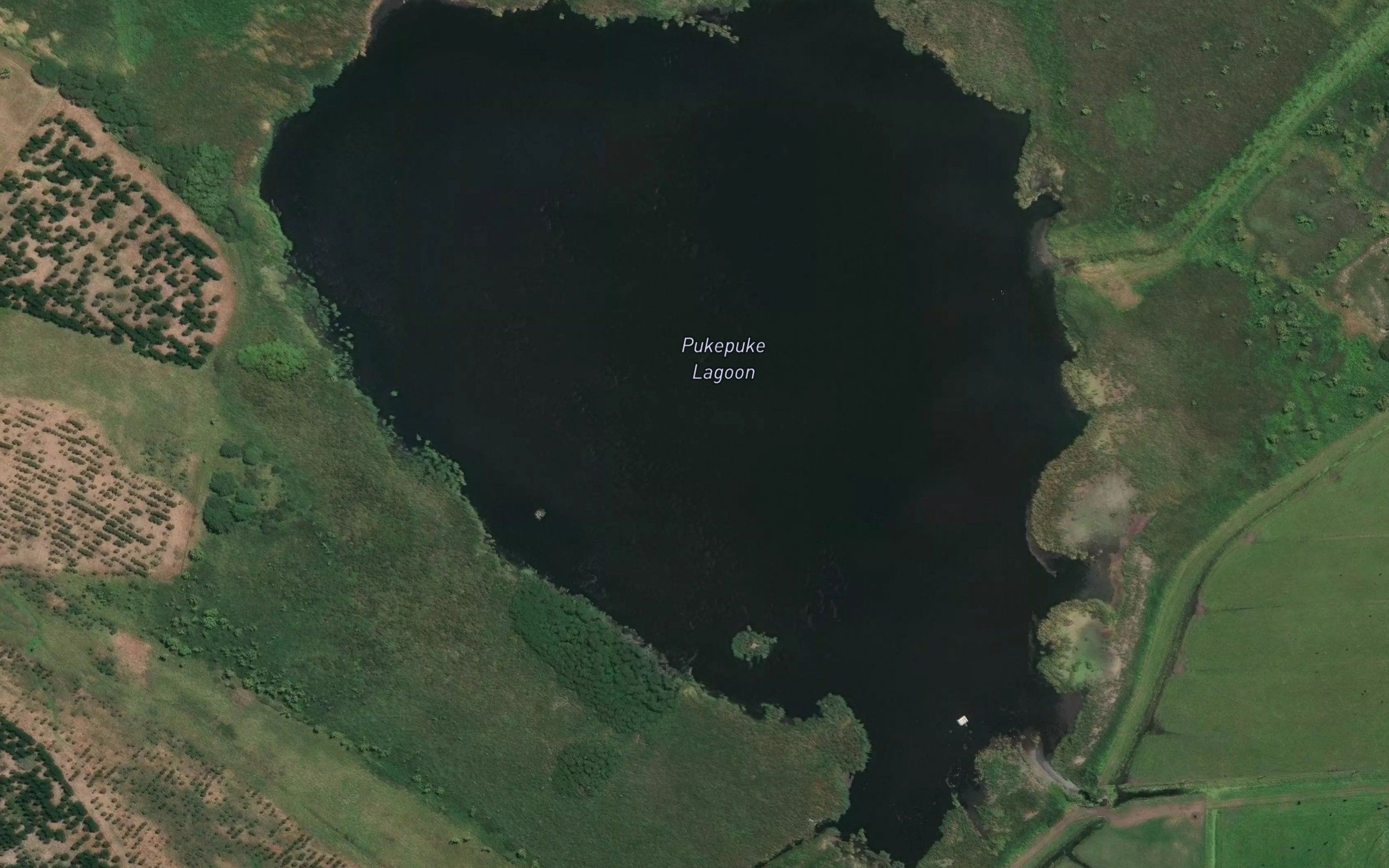 Pukepuke Lagoon
