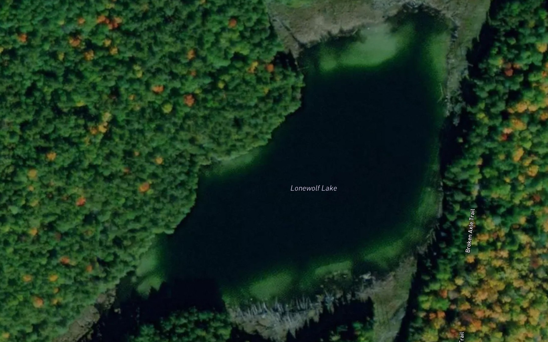 Satellite map of the Lonewolf Lake