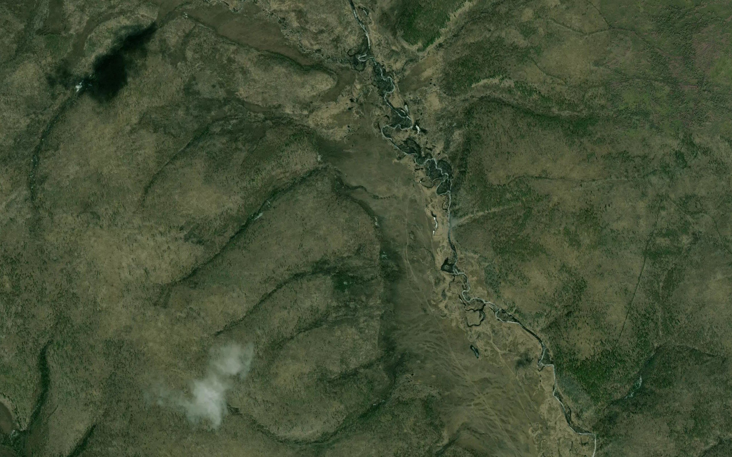 Ankomoroy