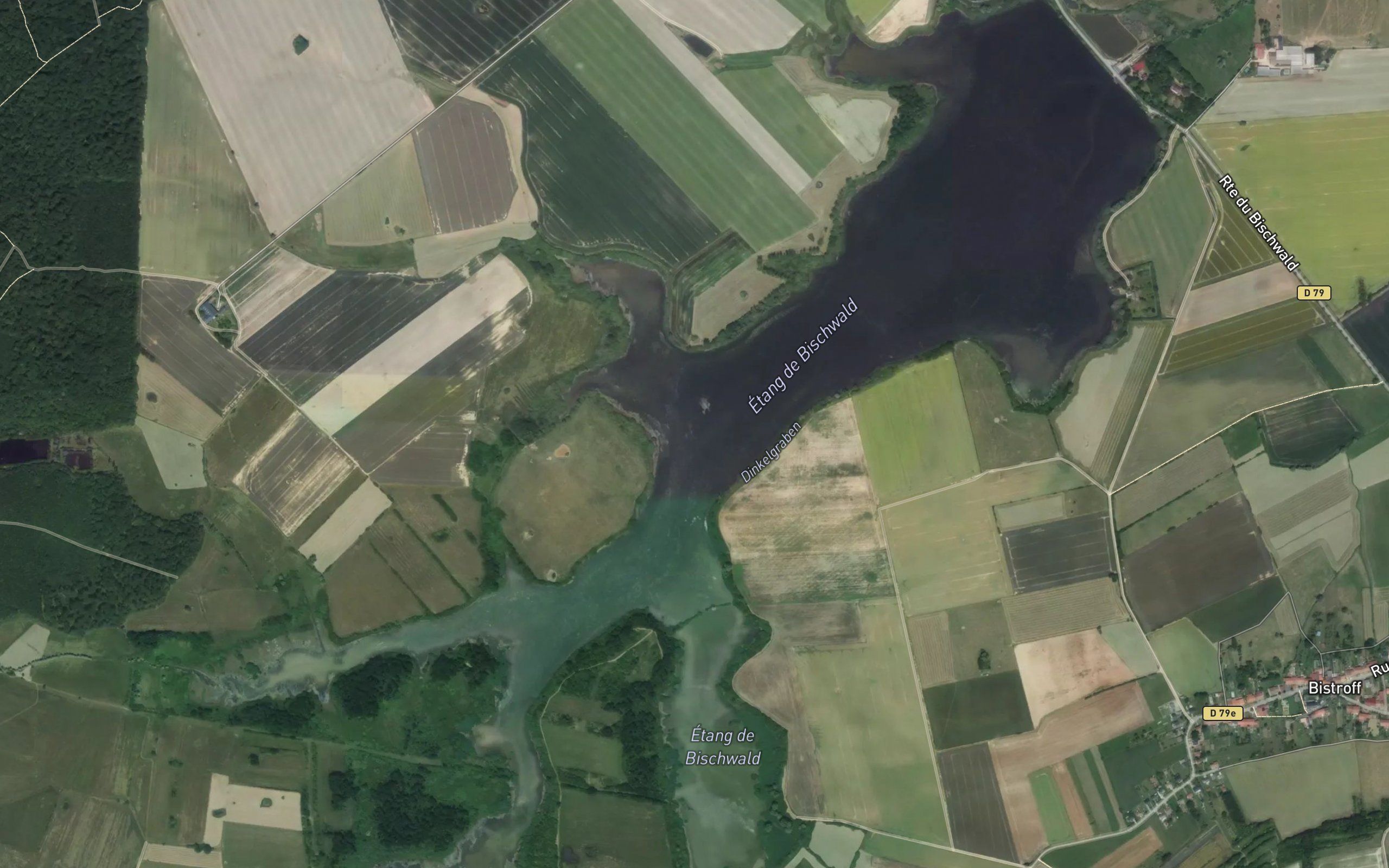 Etang de Bischwald