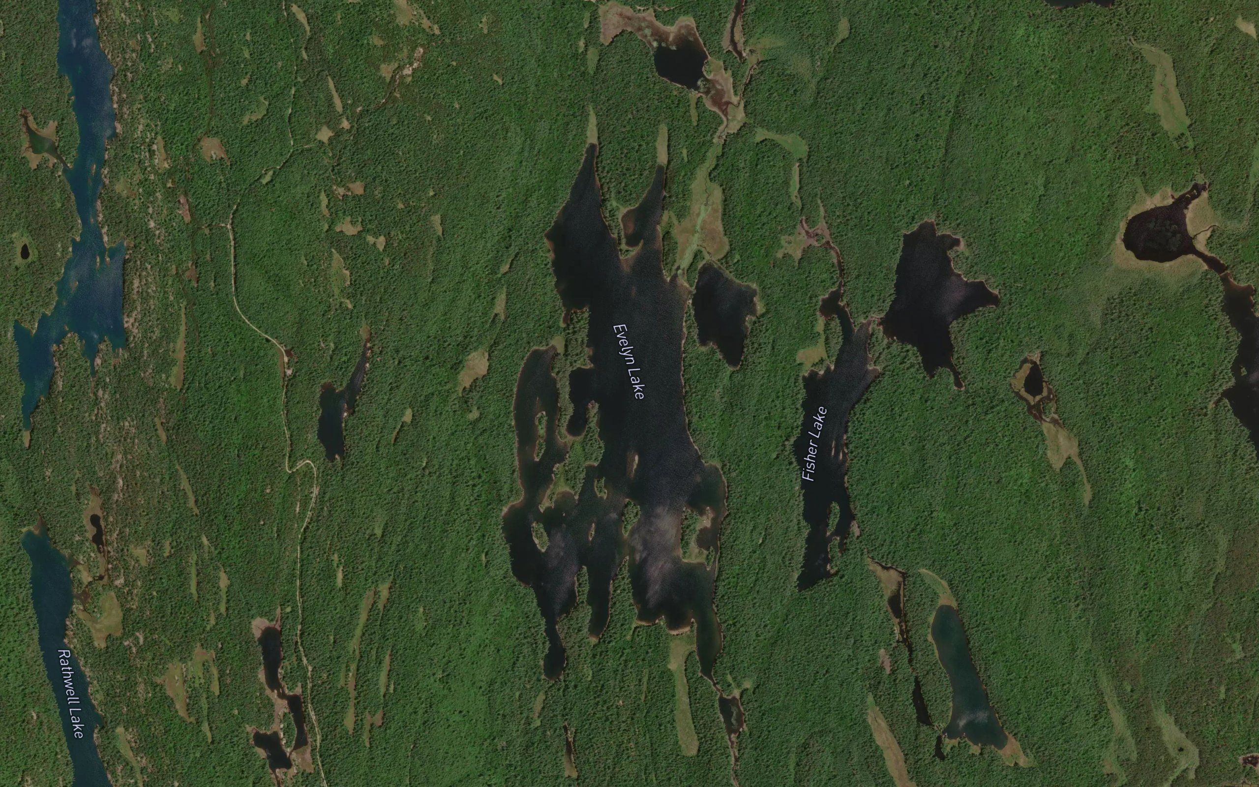 Evelyn Lake