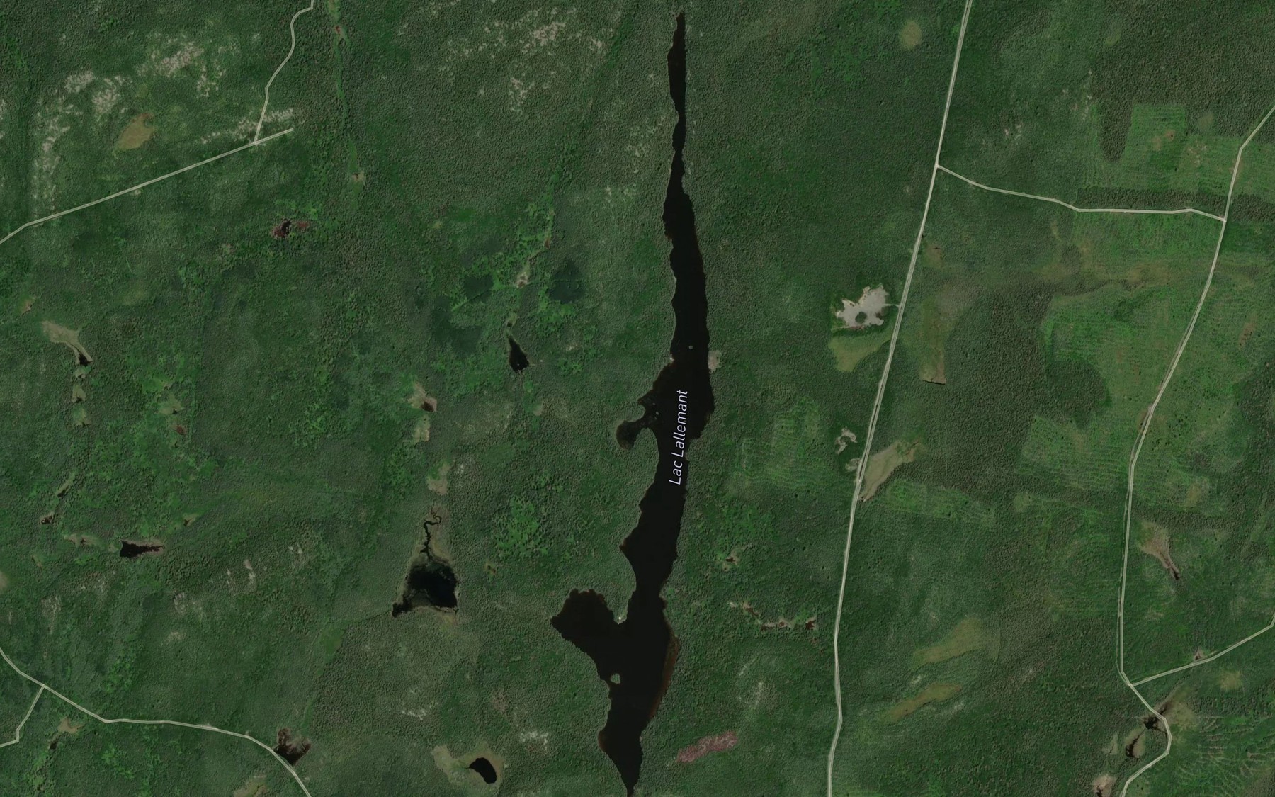 Satellite map of the Lac Lallemant