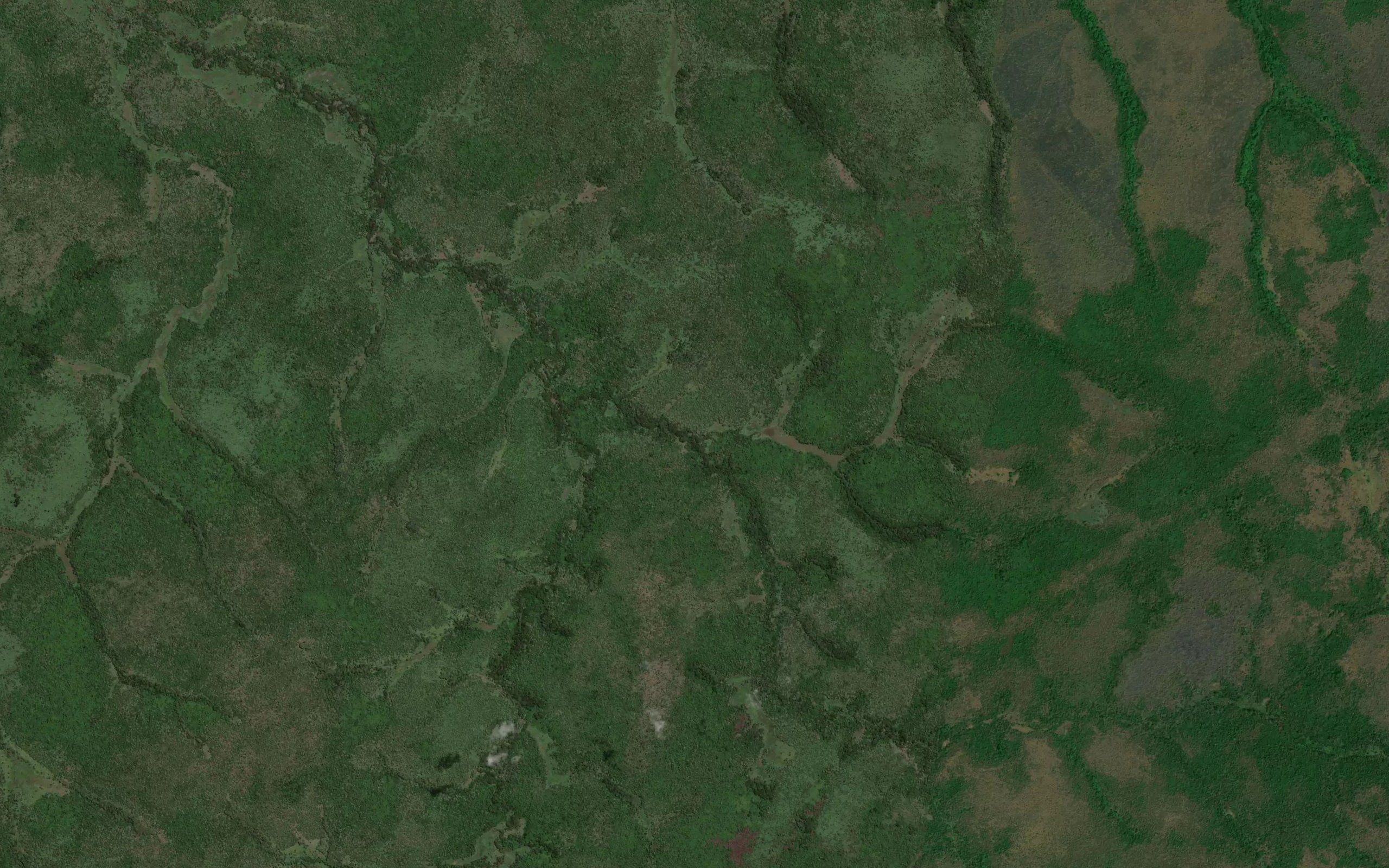 Kogokara