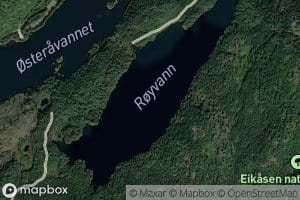 Royvann