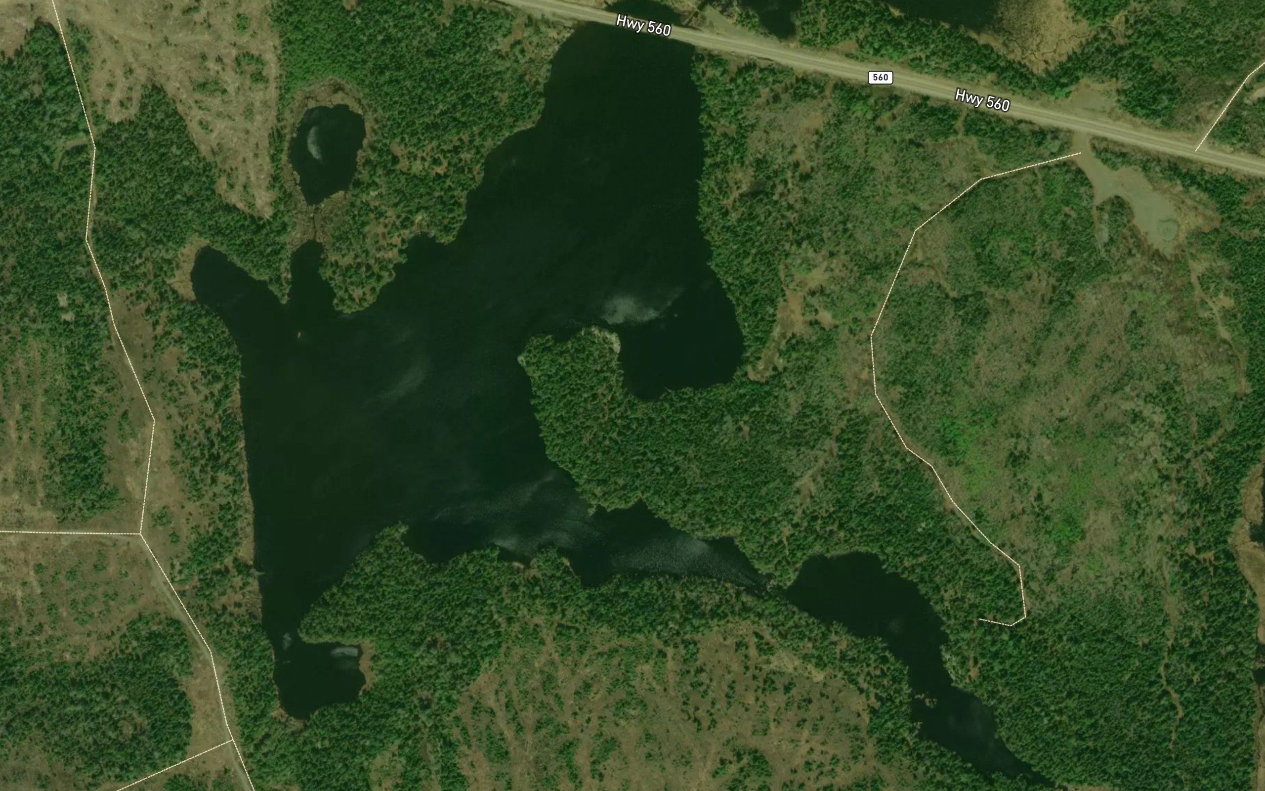 Porphyry Lake