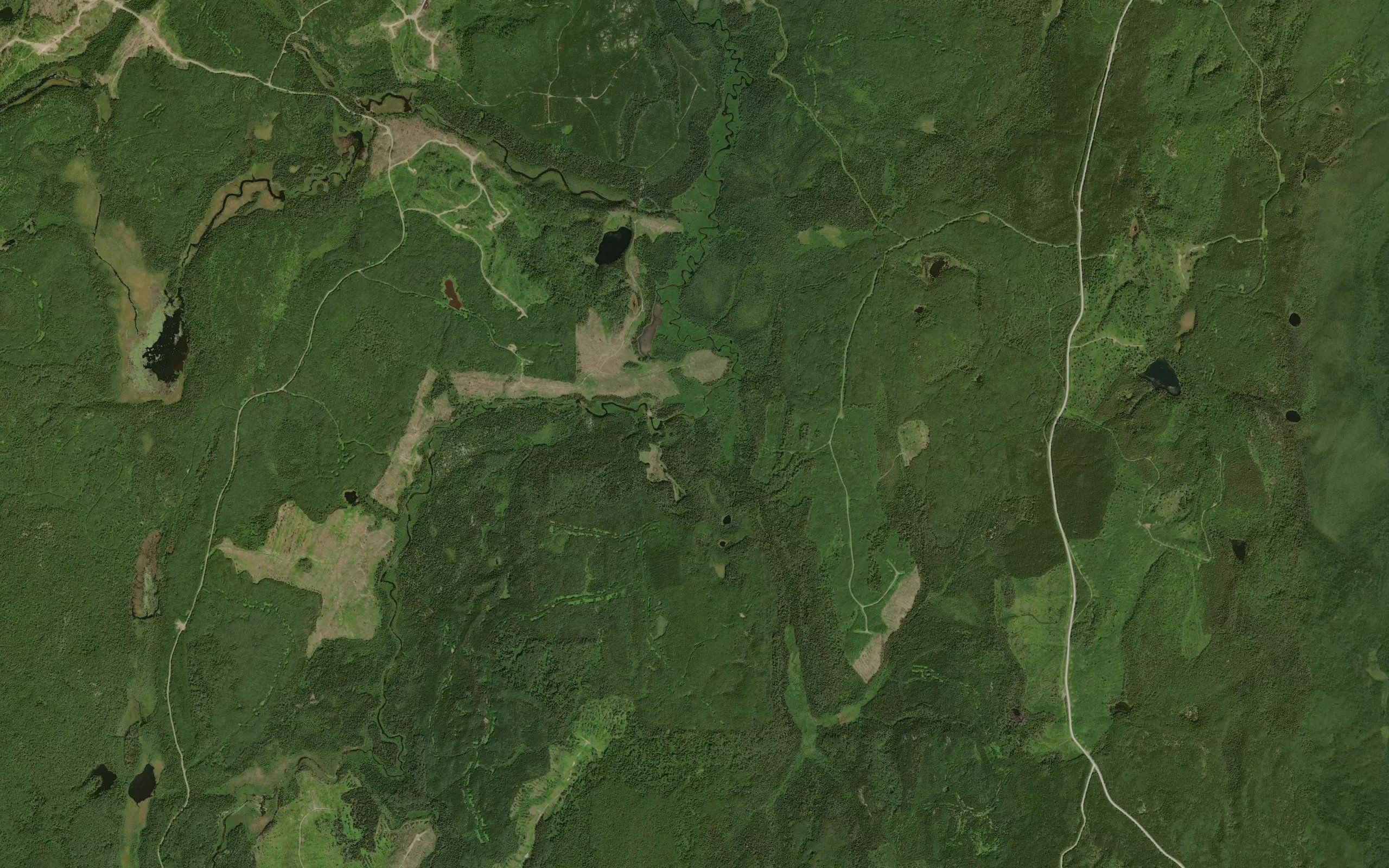 Coldspring Creek
