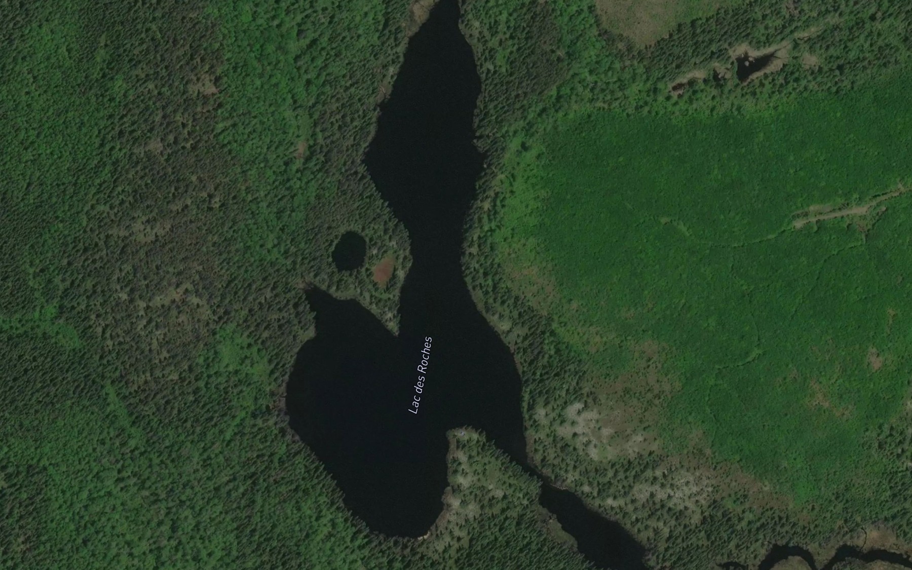 Satellite map of the Lac des Roches