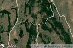 Cow Spring
